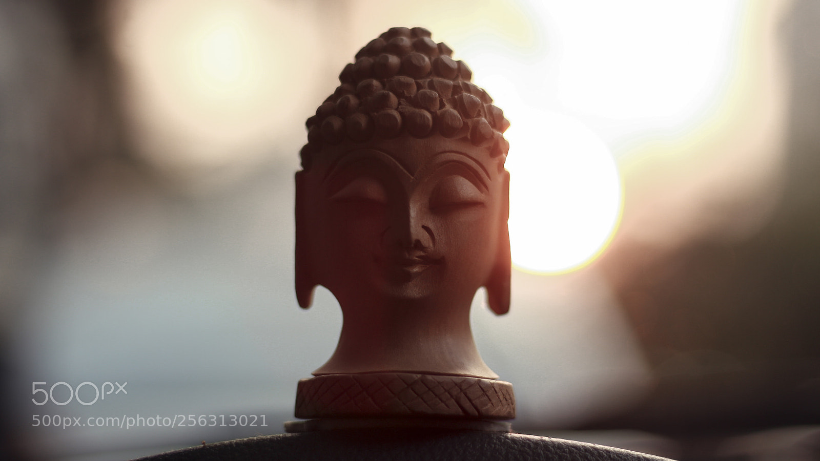 Canon EOS 700D (EOS Rebel T5i / EOS Kiss X7i) sample photo. Peace photography