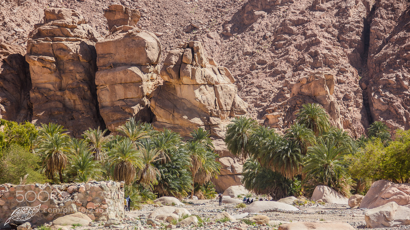 Canon EOS 550D (EOS Rebel T2i / EOS Kiss X4) sample photo. The oasis of rocks photography
