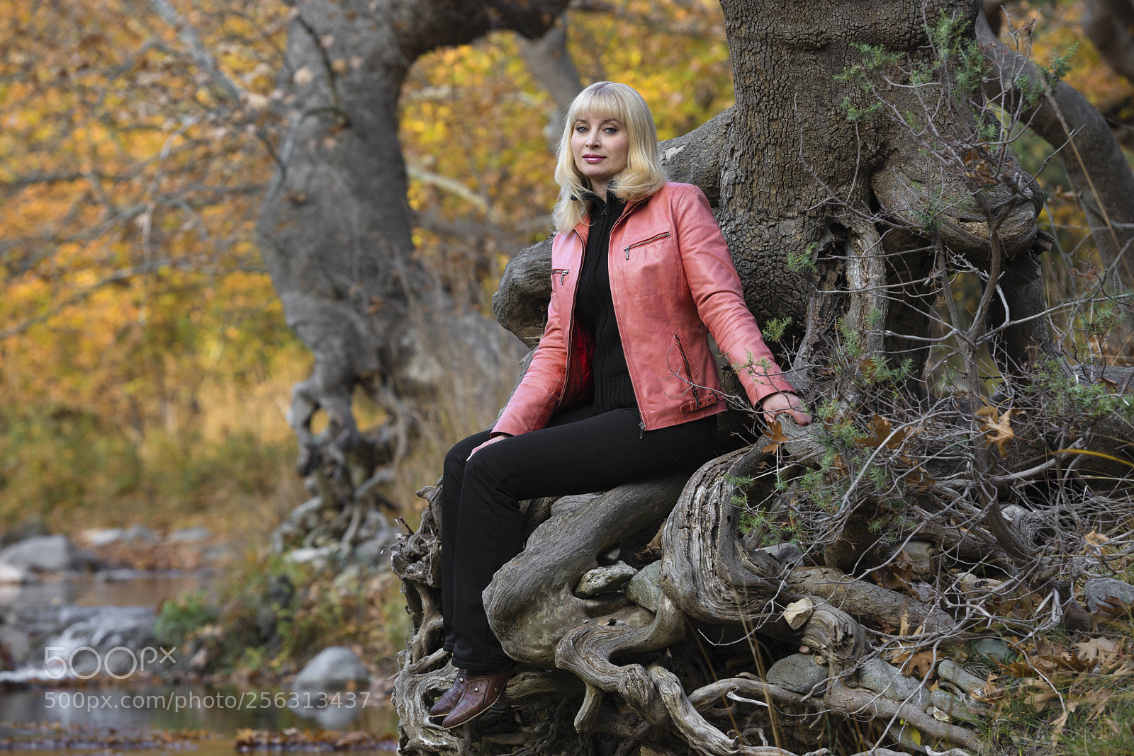 Nikon D600 sample photo. Evelina. photography