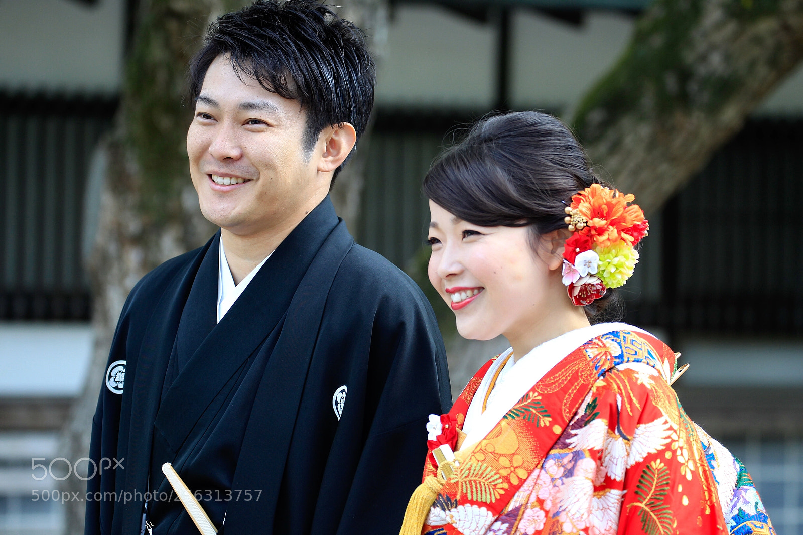 Canon EOS-1D Mark IV sample photo. Untitled photography