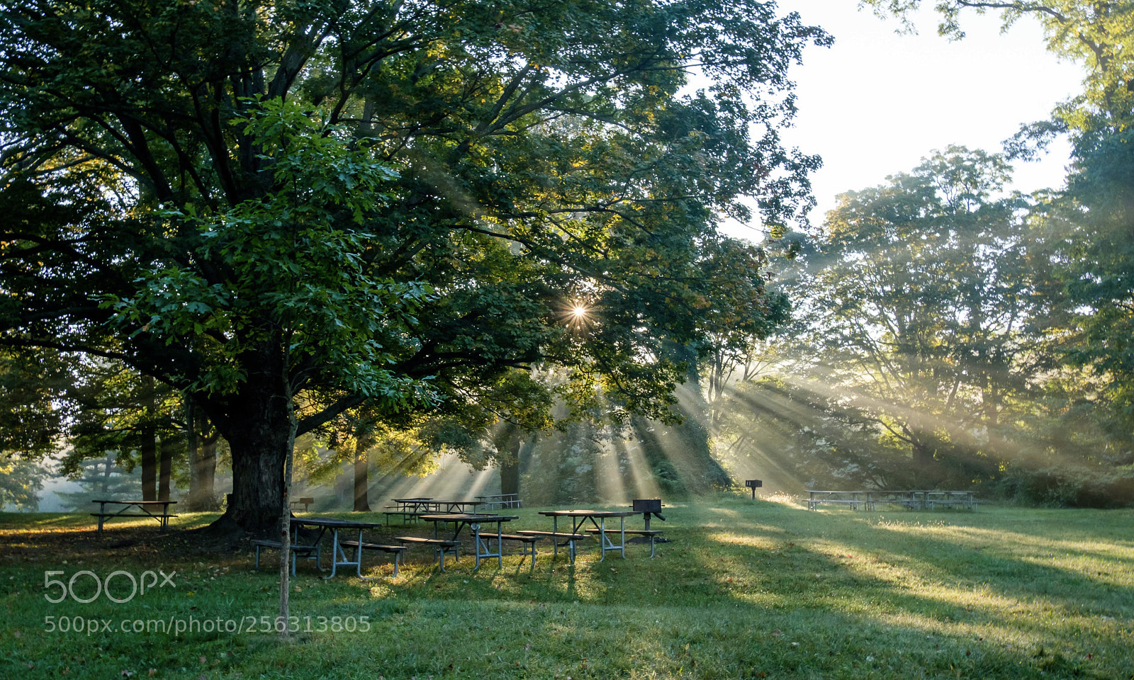 Fujifilm X-Pro2 sample photo. Sun ray  photography
