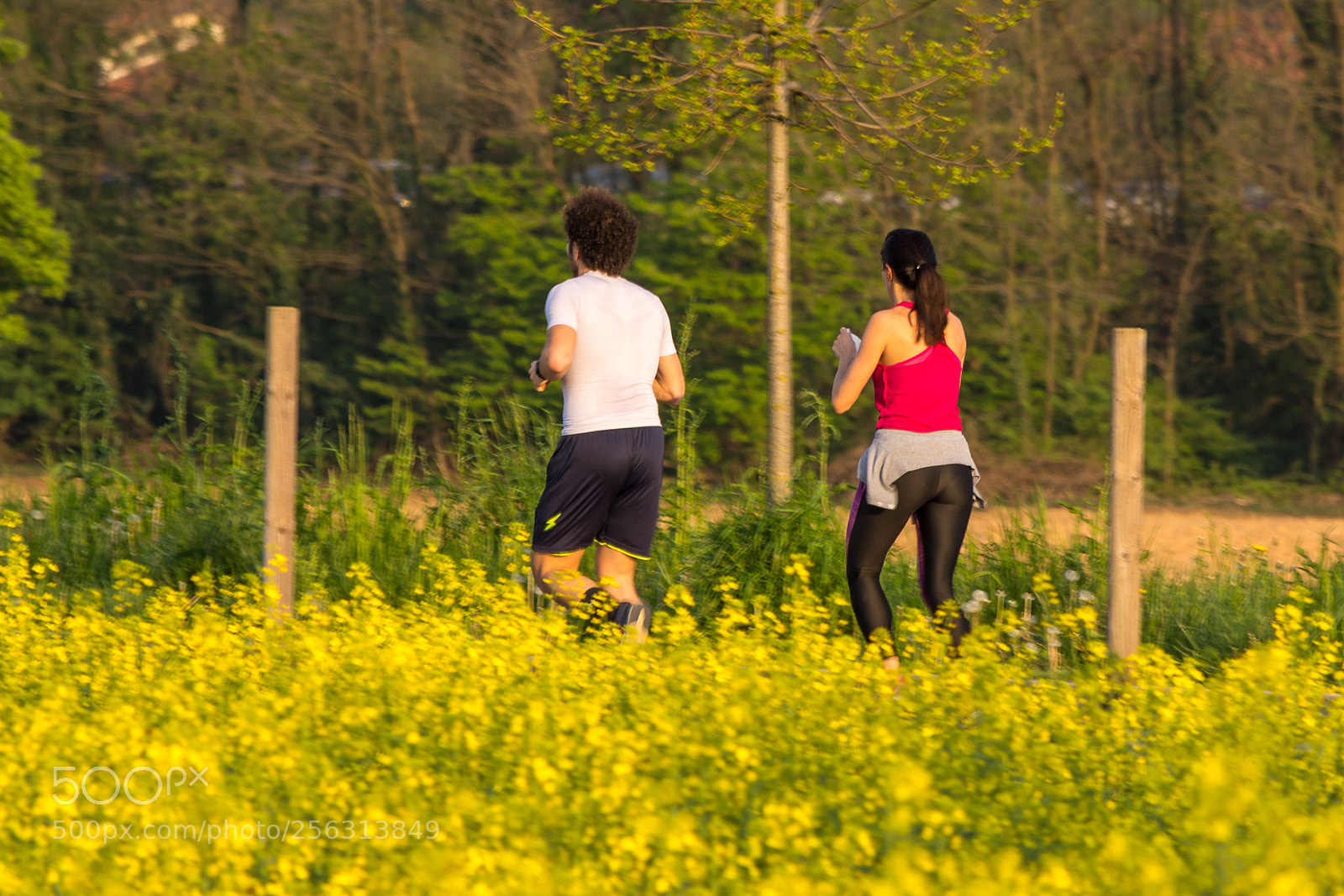 Nikon D7200 sample photo. Running in the yellow photography