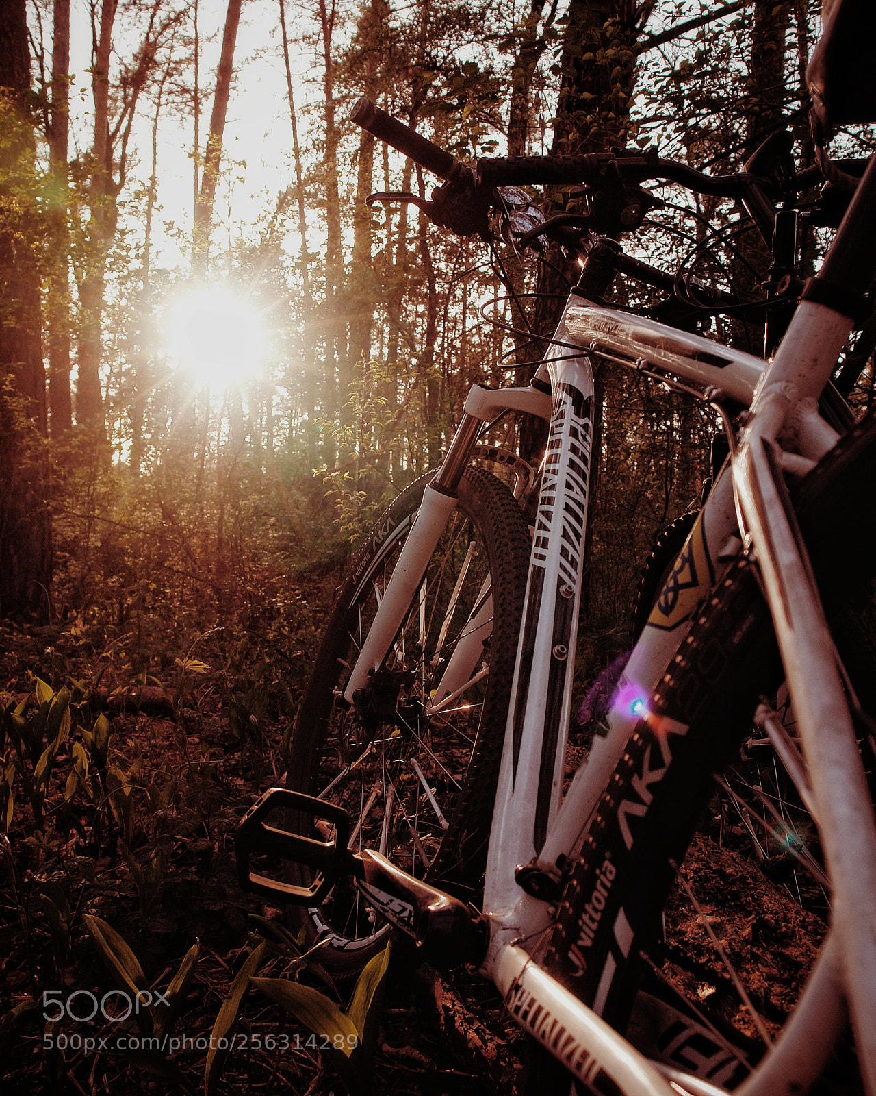 Sony DSC-R1 sample photo. Cycling photography