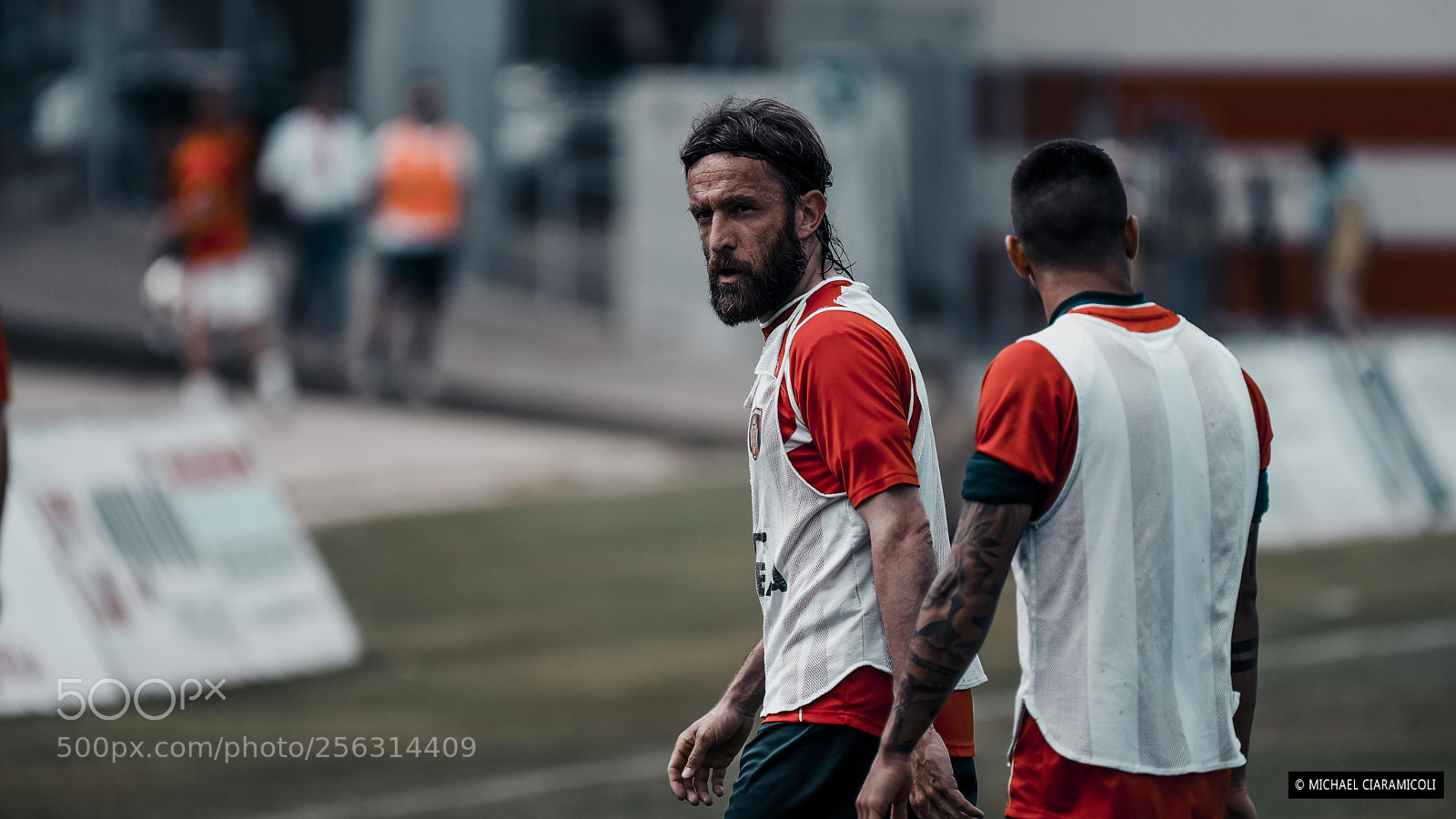 Nikon D750 sample photo. Player photography