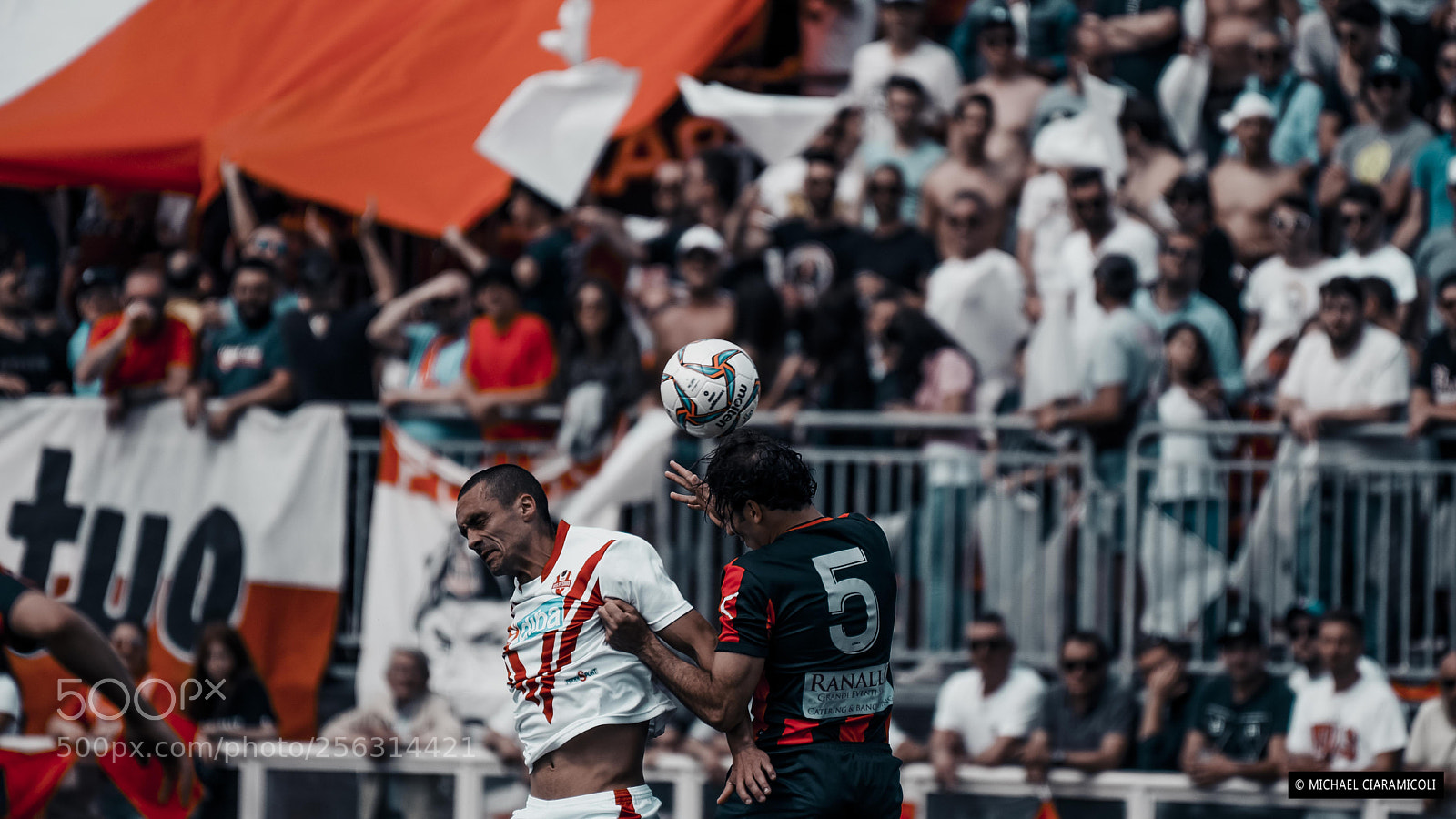 Nikon D750 sample photo. Jump photography