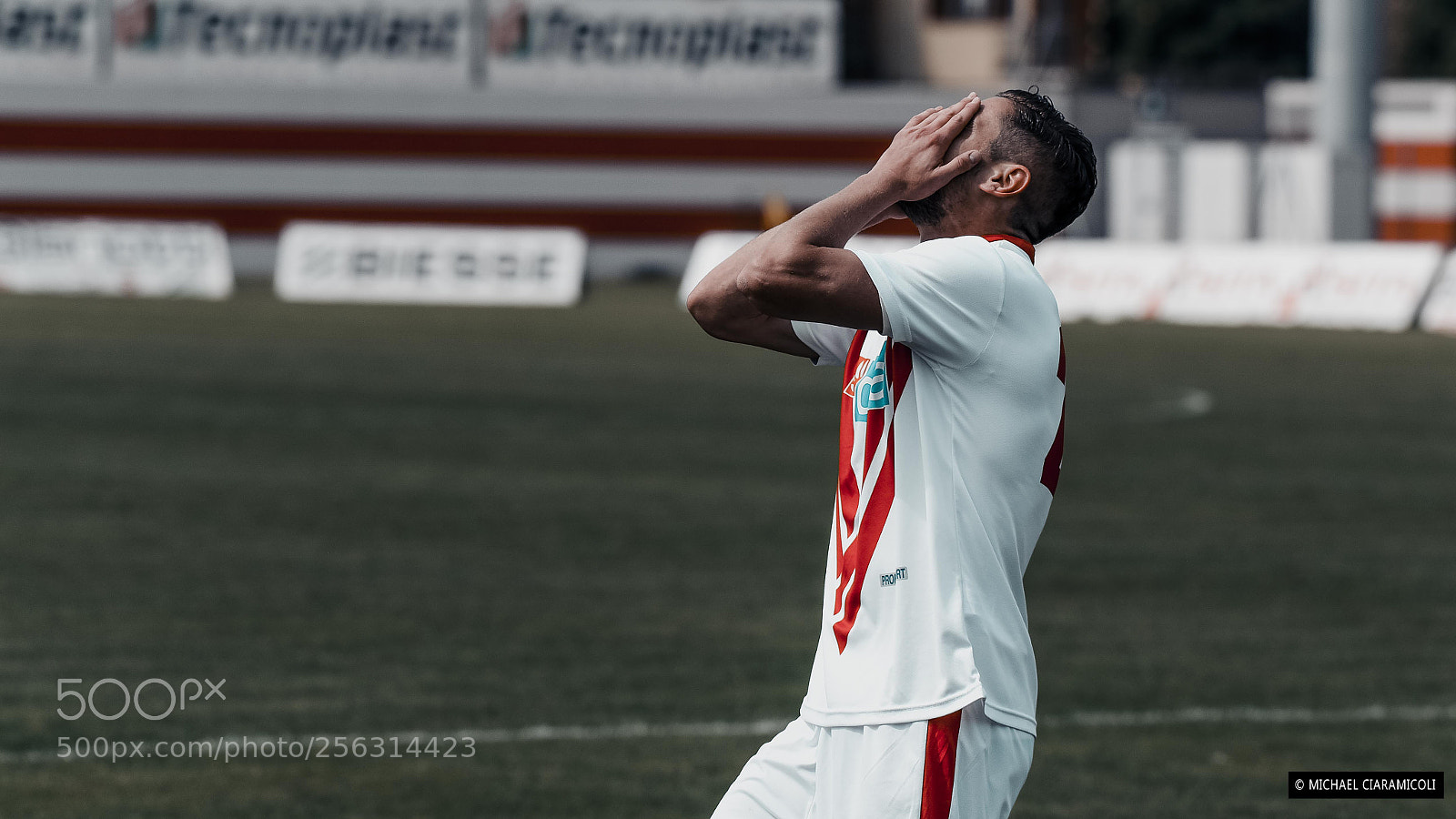 Nikon D750 sample photo. Player photography