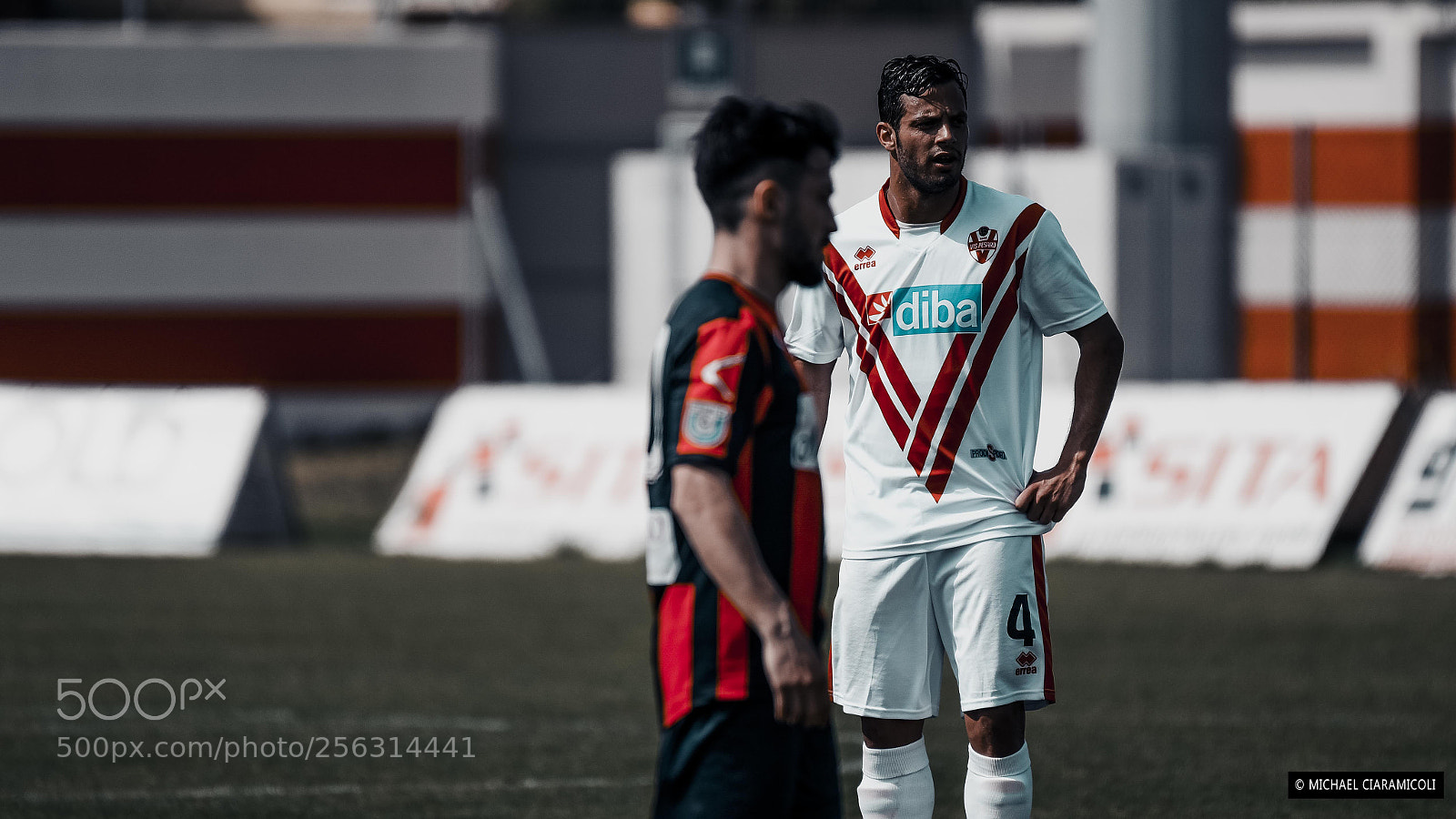 Nikon D750 sample photo. Player photography