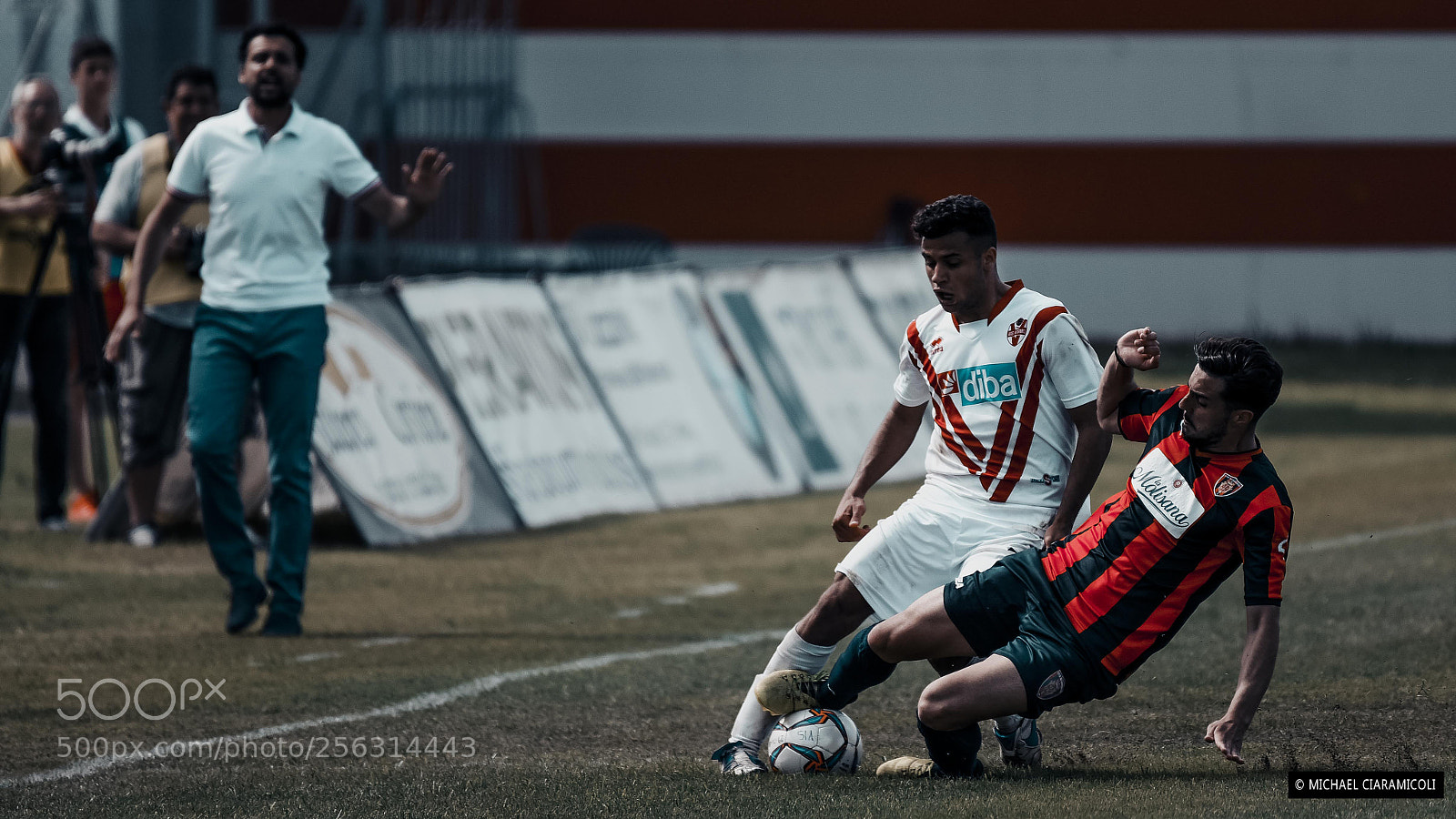 Nikon D750 sample photo. Players photography