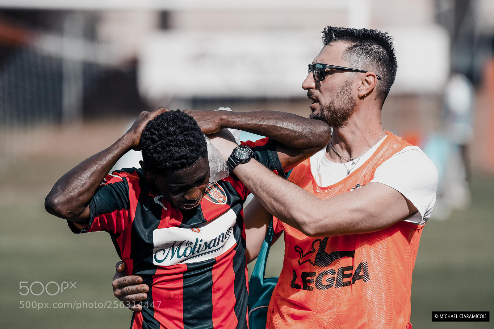 Nikon D750 sample photo. Player photography