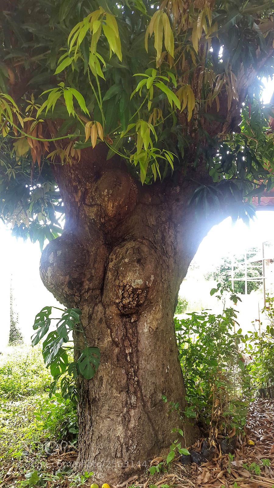 Samsung Galaxy S5 sample photo. Silueta. photography