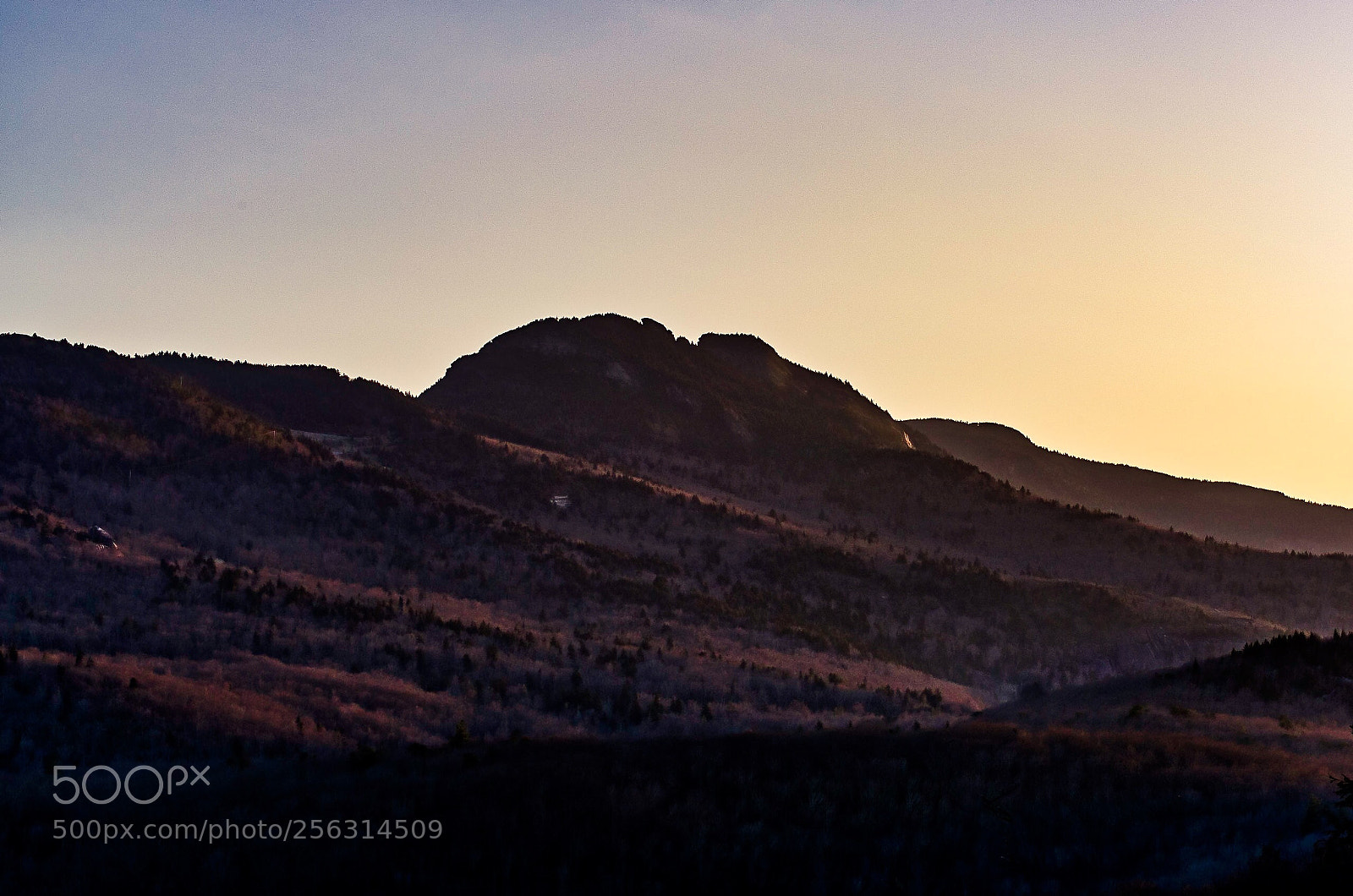Nikon D750 sample photo. The sun awakens the photography