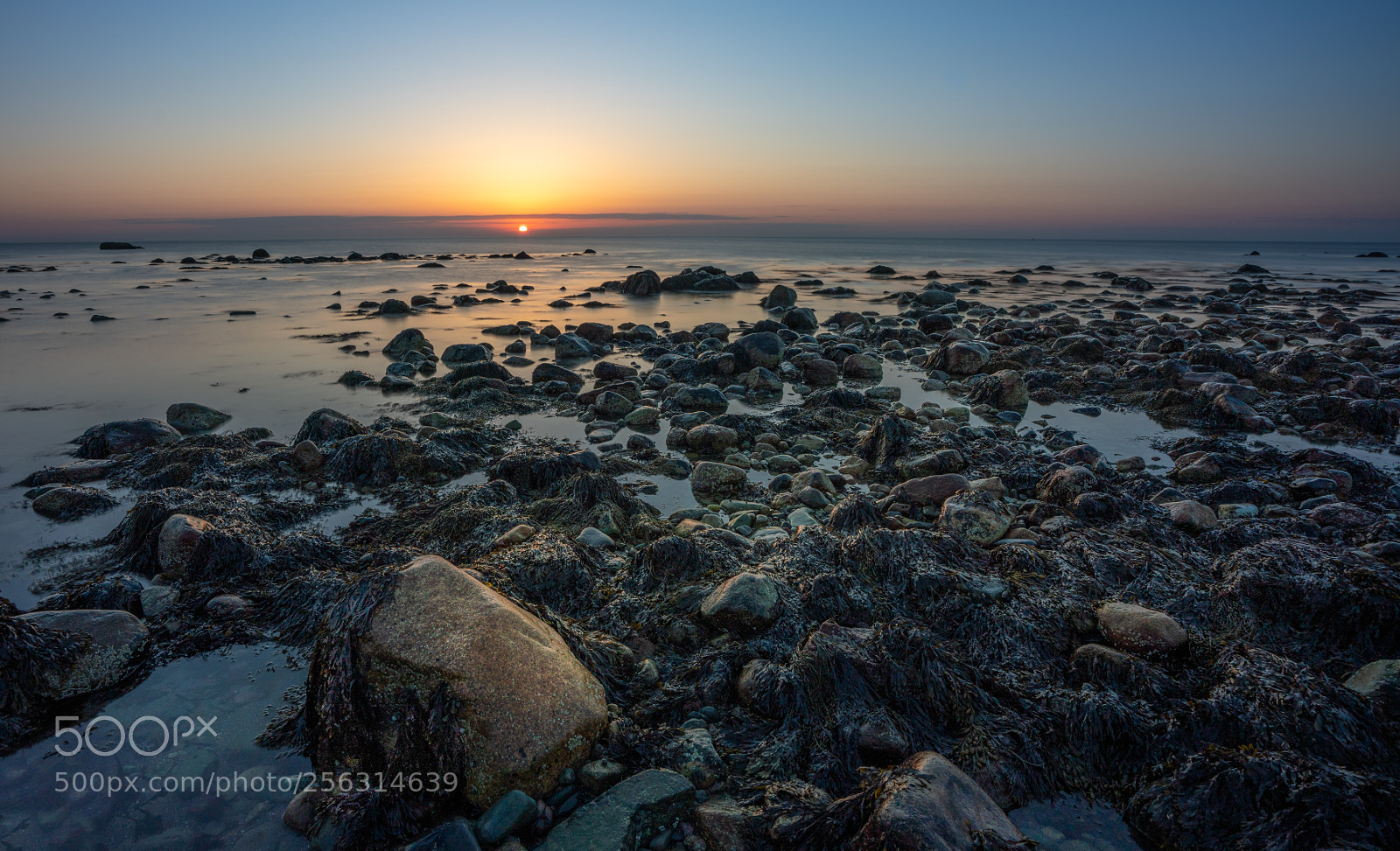 Sony a7R III sample photo. On scituate shore photography