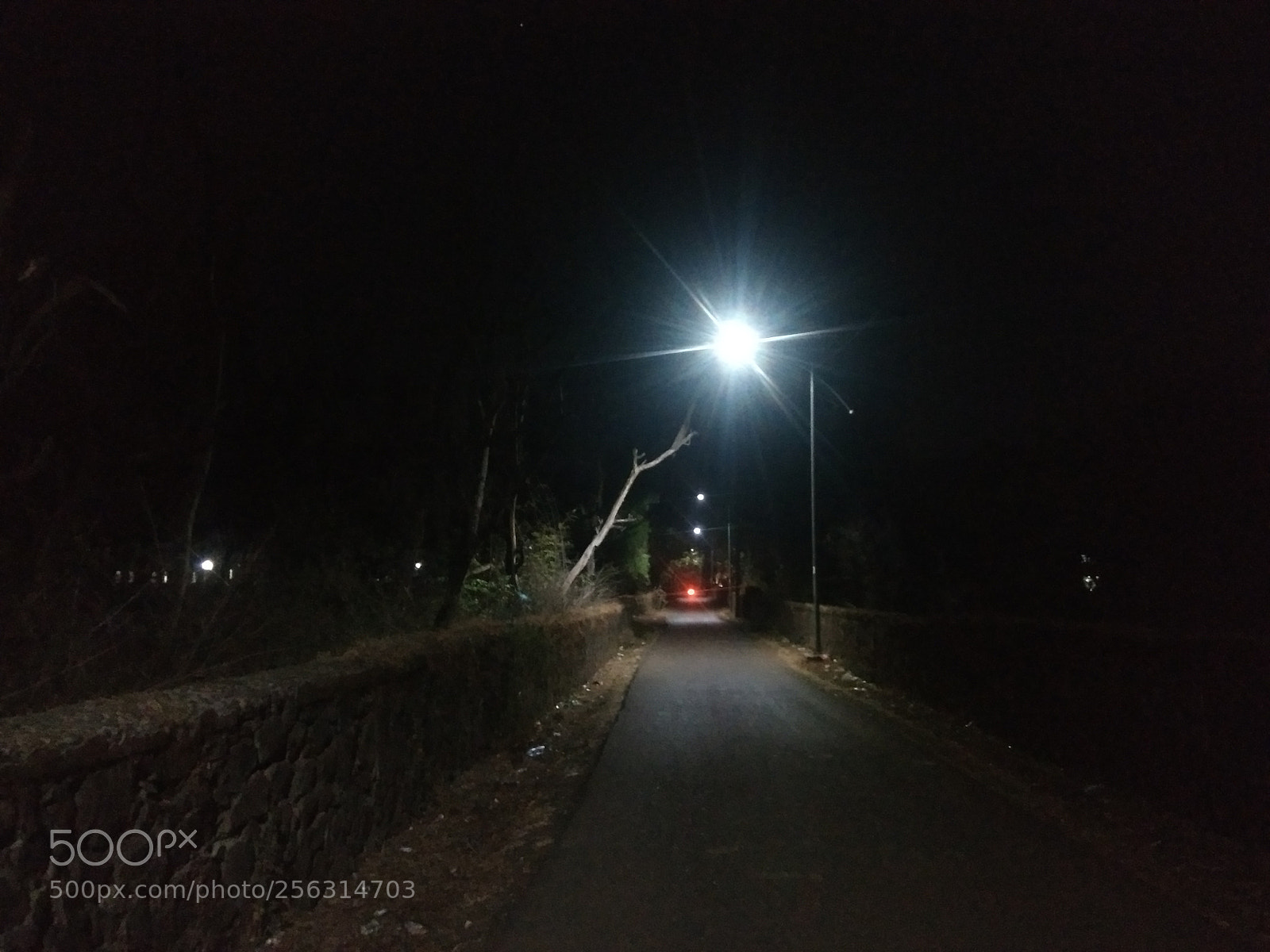 Motorola Moto G (4) sample photo. Untitled photography