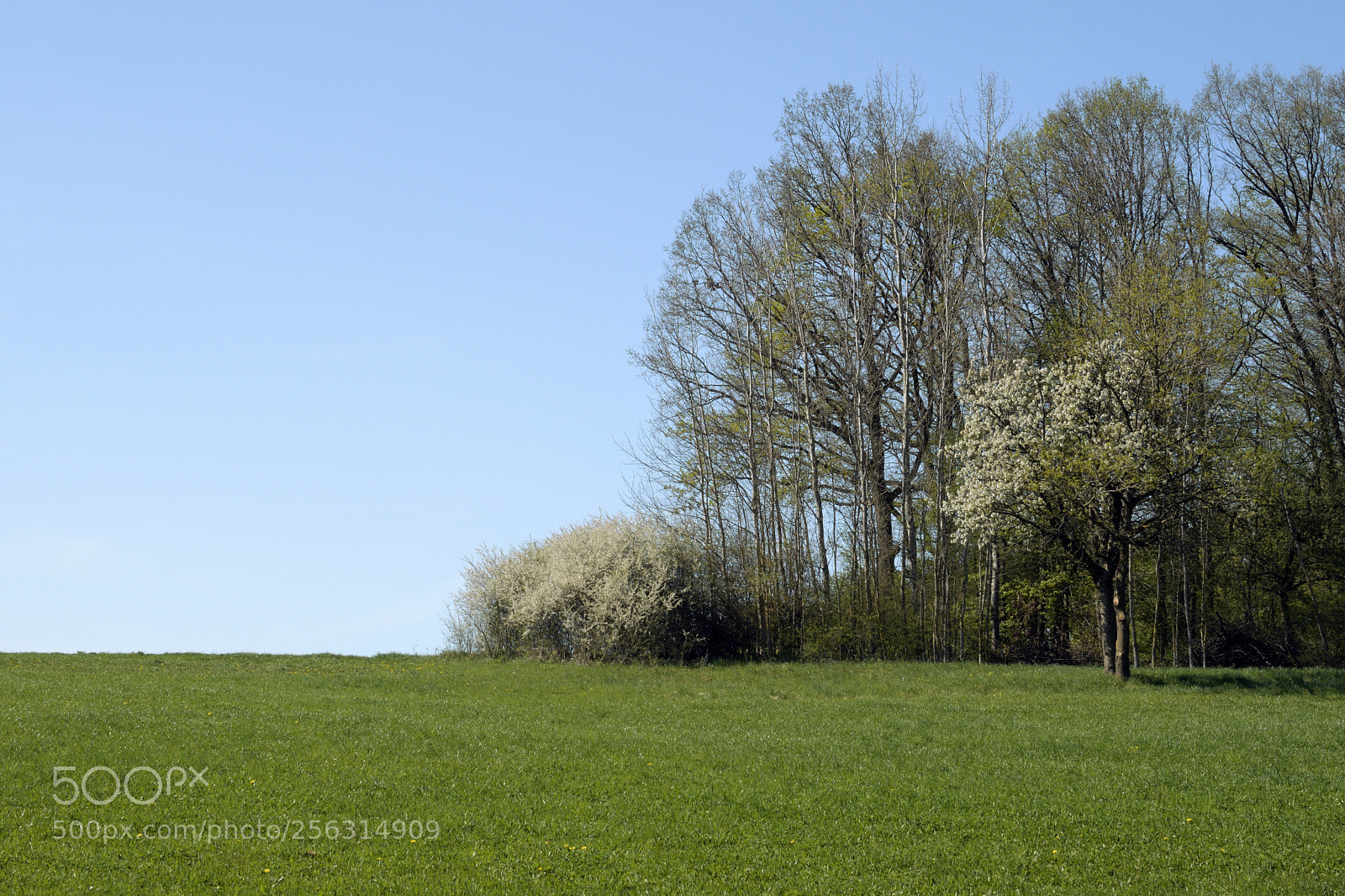 Nikon D7500 sample photo. Edges photography