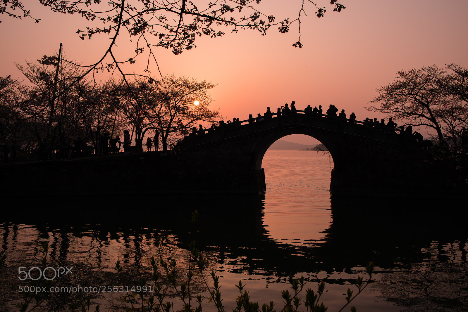 Nikon D810 sample photo. Untitled photography