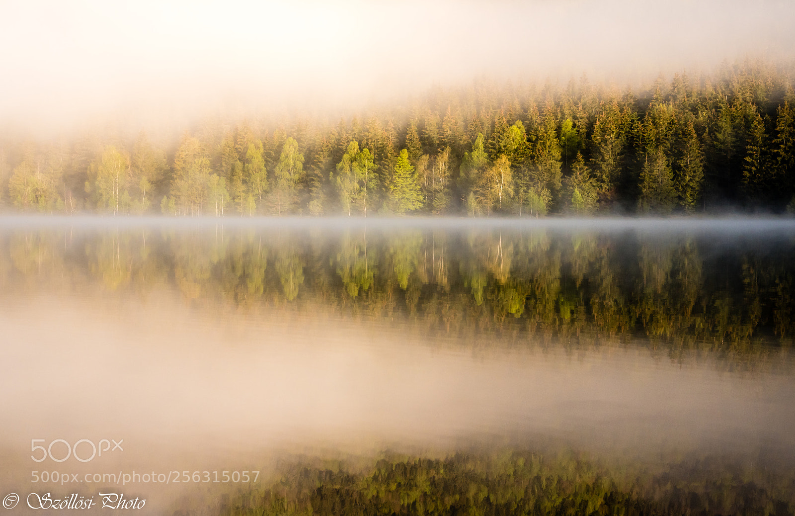 Nikon D750 sample photo. Golden morning photography
