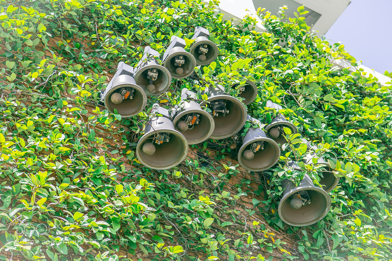 Nikon D800E sample photo. Bell-shaped lighting photography