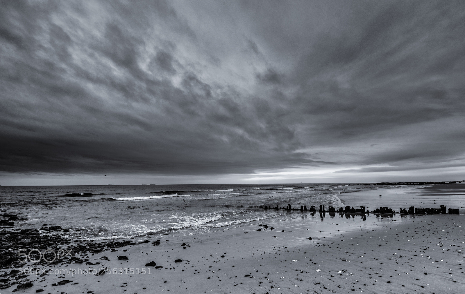 Nikon D850 sample photo. Stormy afternoon photography