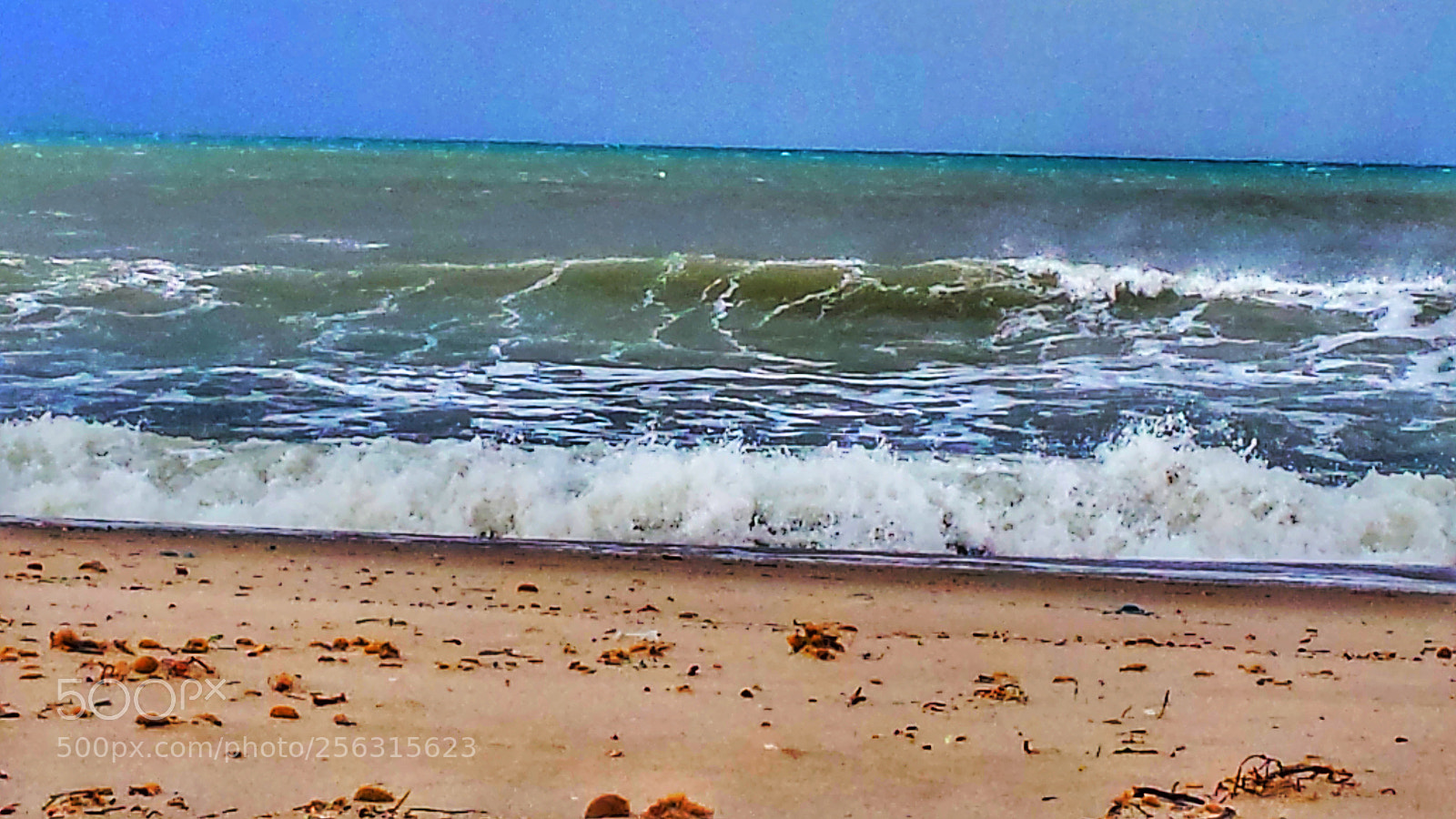 Samsung Galaxy S4 sample photo. Waves vs wind photography