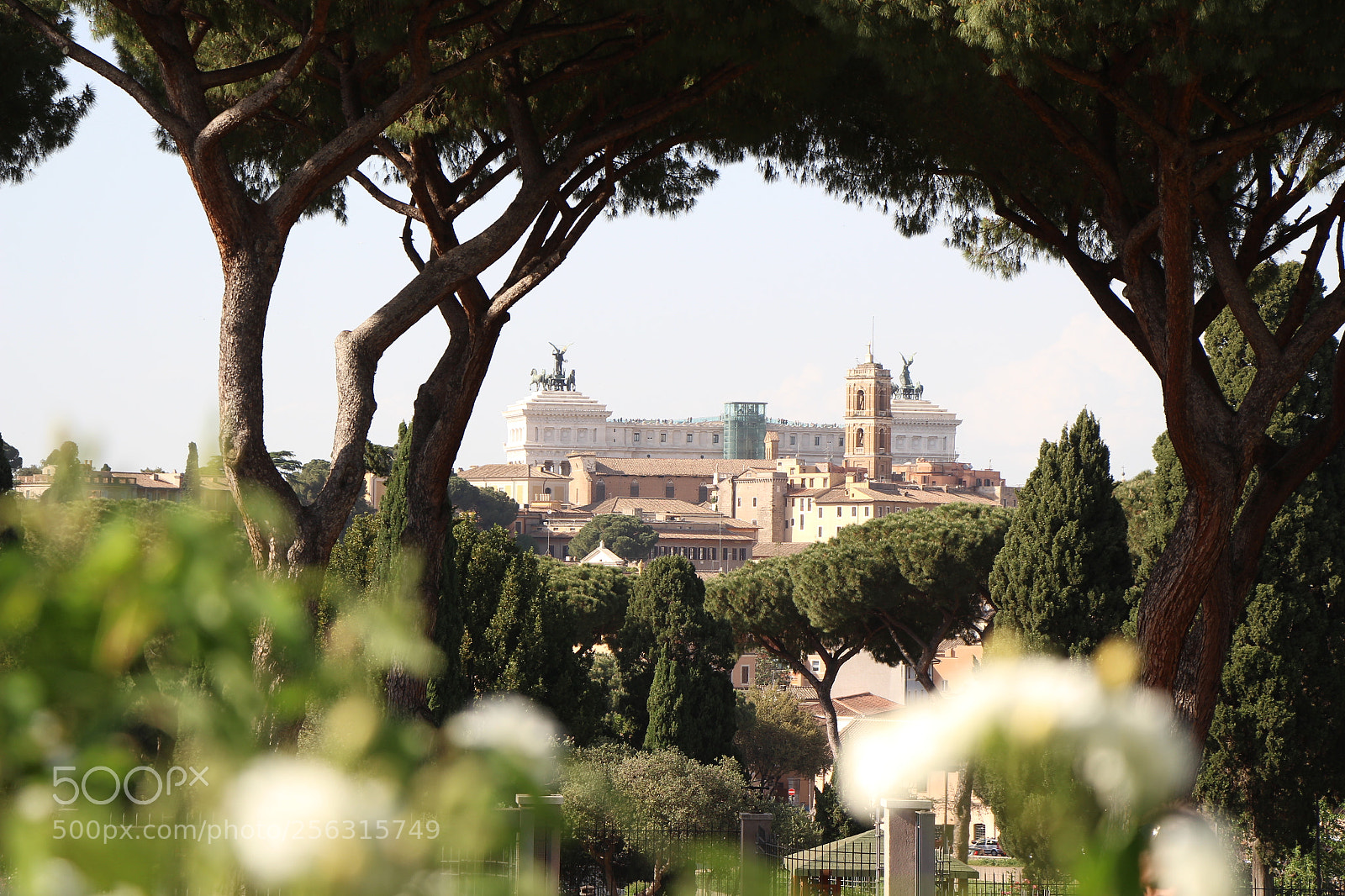 Canon EOS 700D (EOS Rebel T5i / EOS Kiss X7i) sample photo. Altare della patria from photography