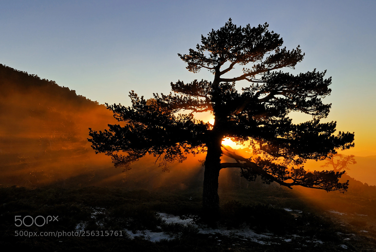 Nikon D200 sample photo. The last light of photography