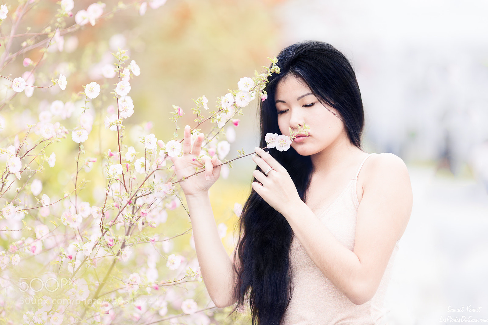 Canon EOS 6D sample photo. Spring photography