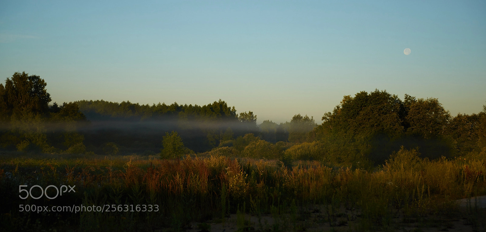 Sony Alpha DSLR-A850 sample photo. рассвет photography