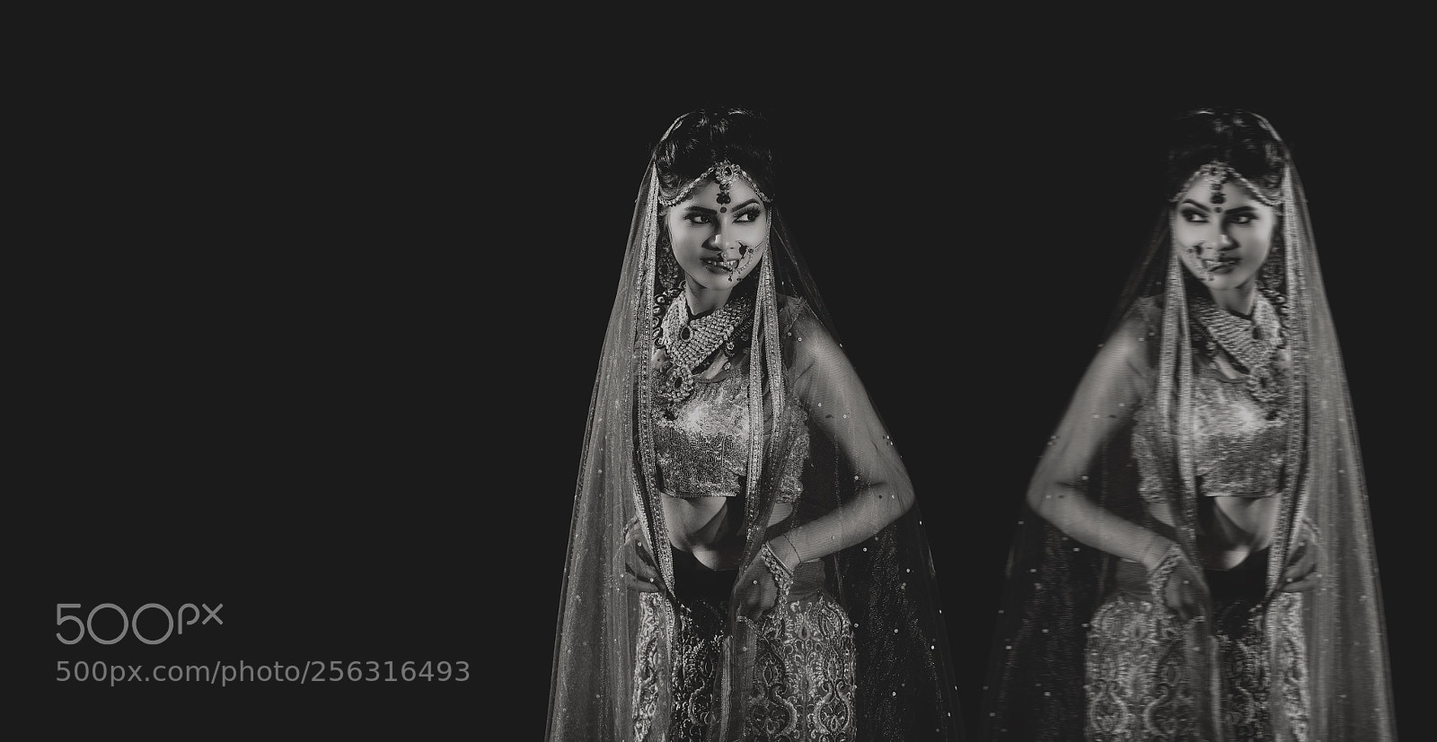 Nikon D4 sample photo. Elegance is the only photography