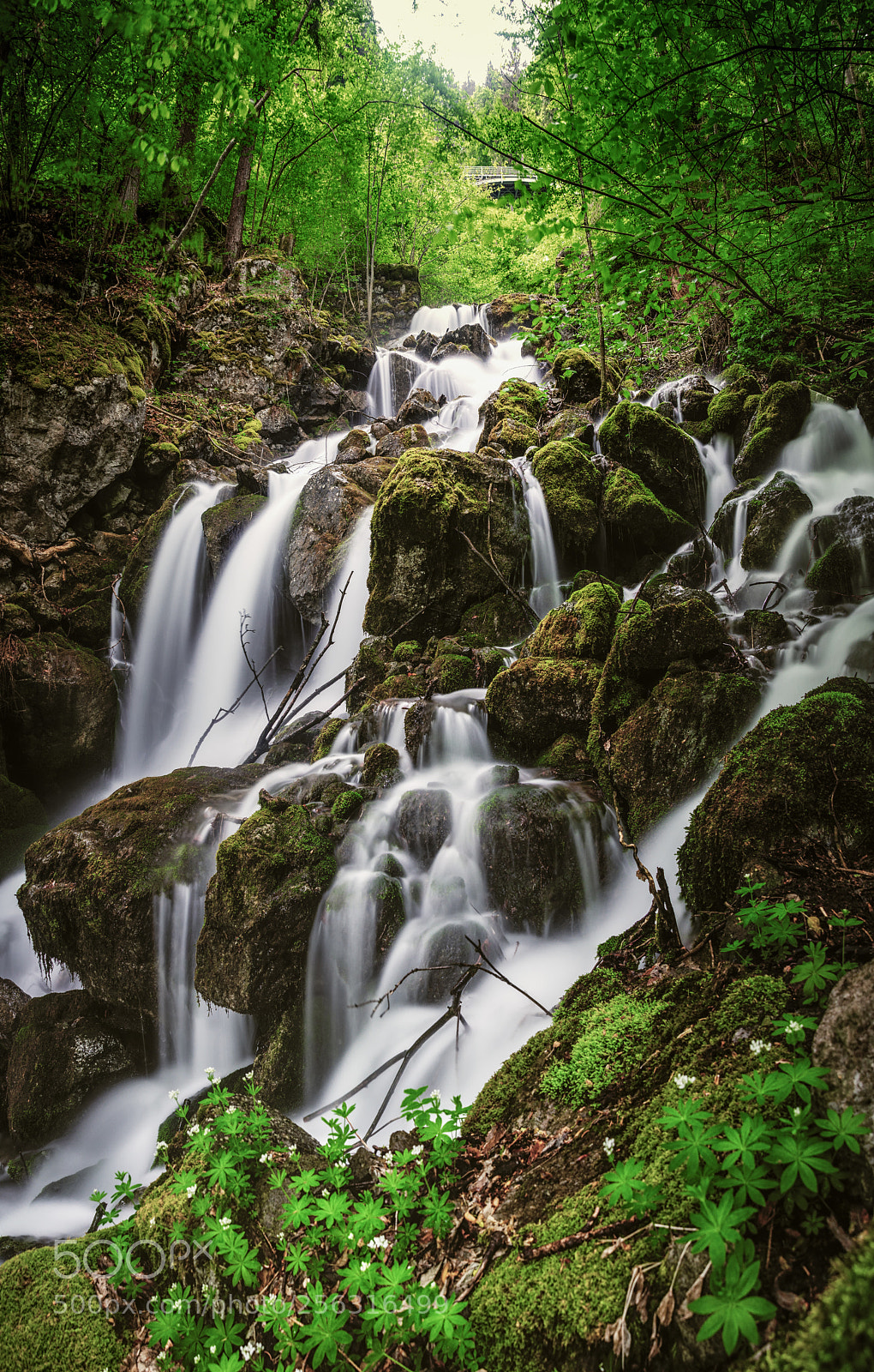 Nikon D7000 sample photo. Dream stream photography