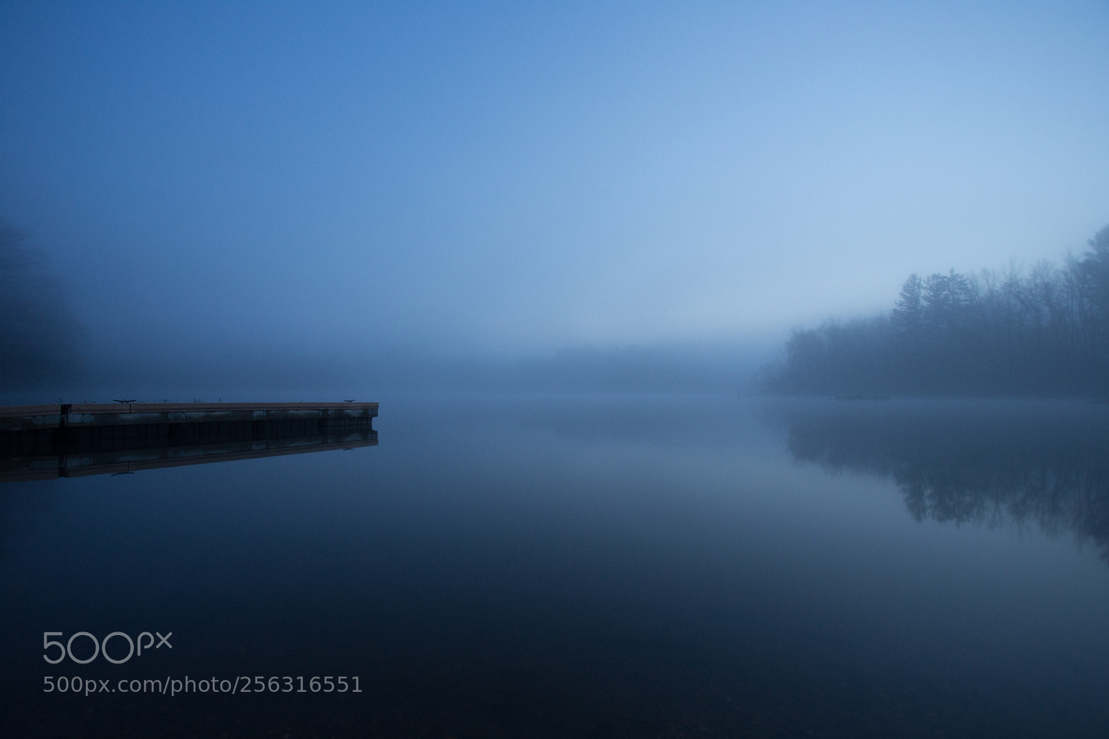 Canon EOS 6D sample photo. Foggy morning photography