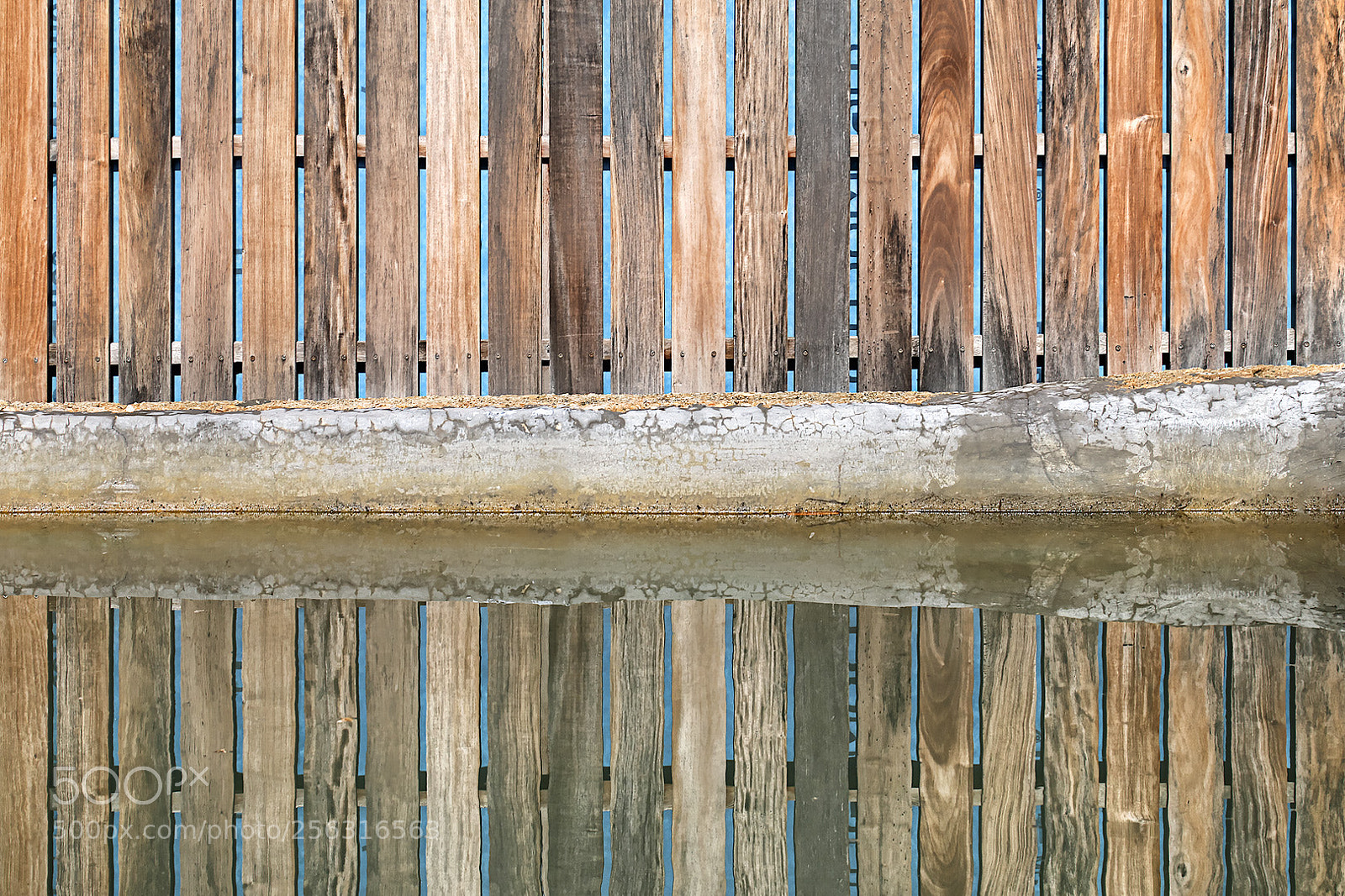 Canon EOS 70D sample photo. Reflection photography