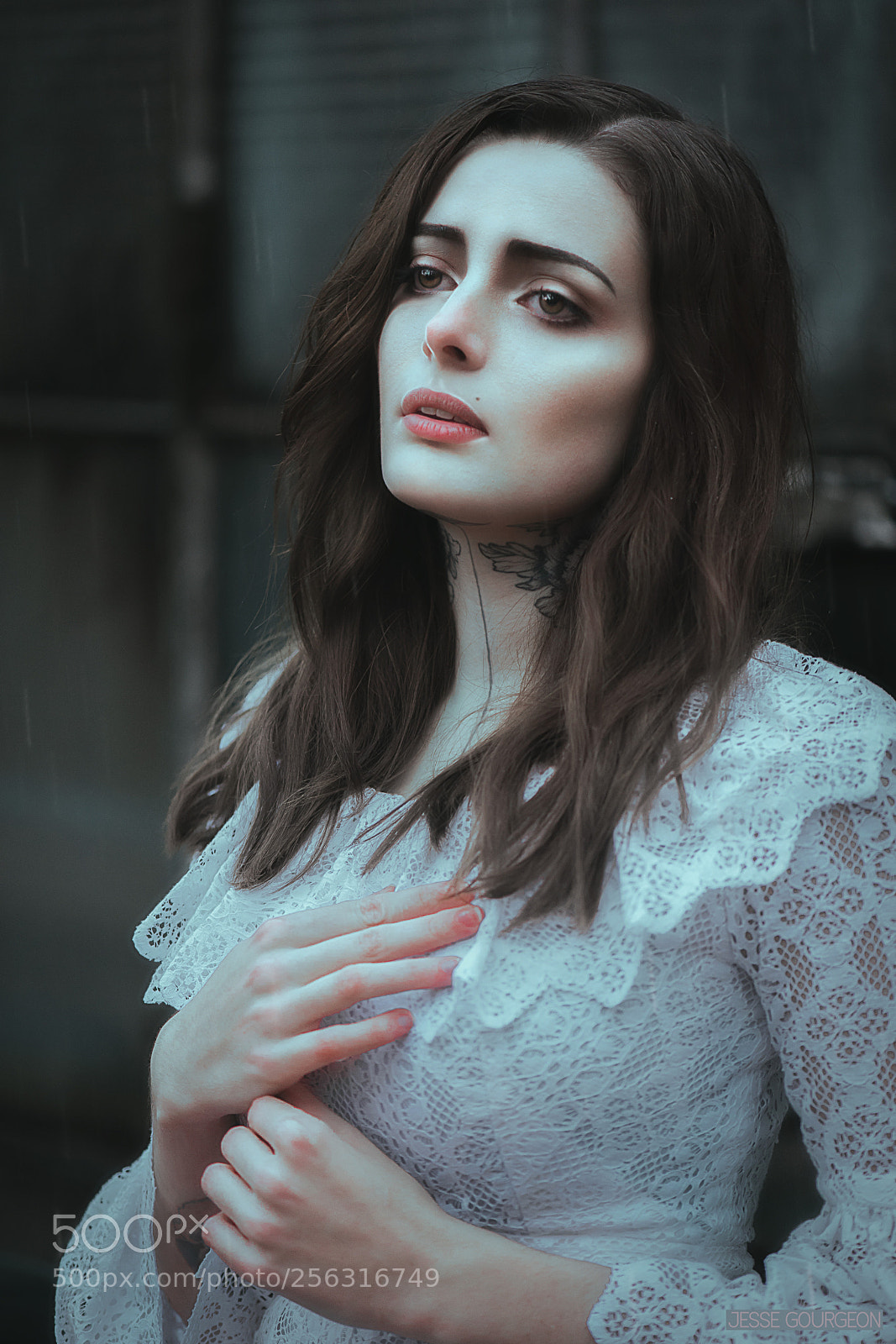 Nikon D750 sample photo. Under the rain photography