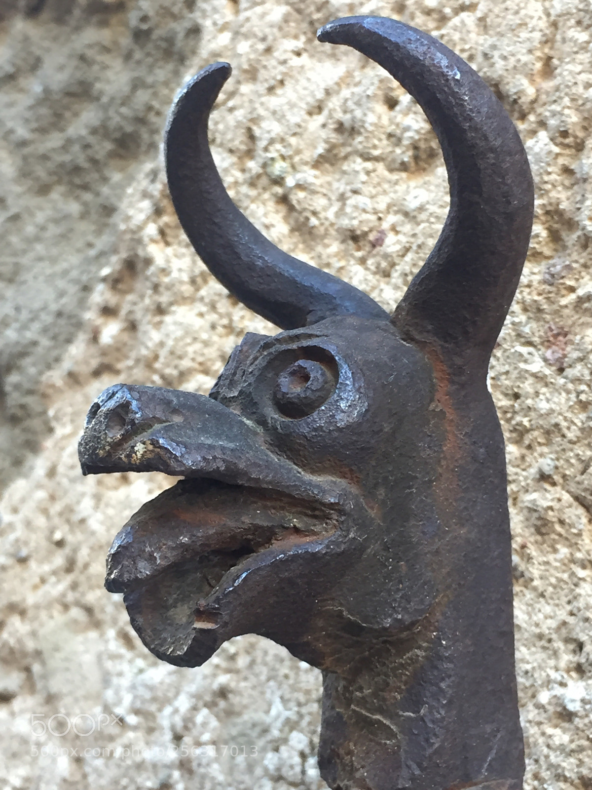 Apple iPhone 6 sample photo. Untitled photography