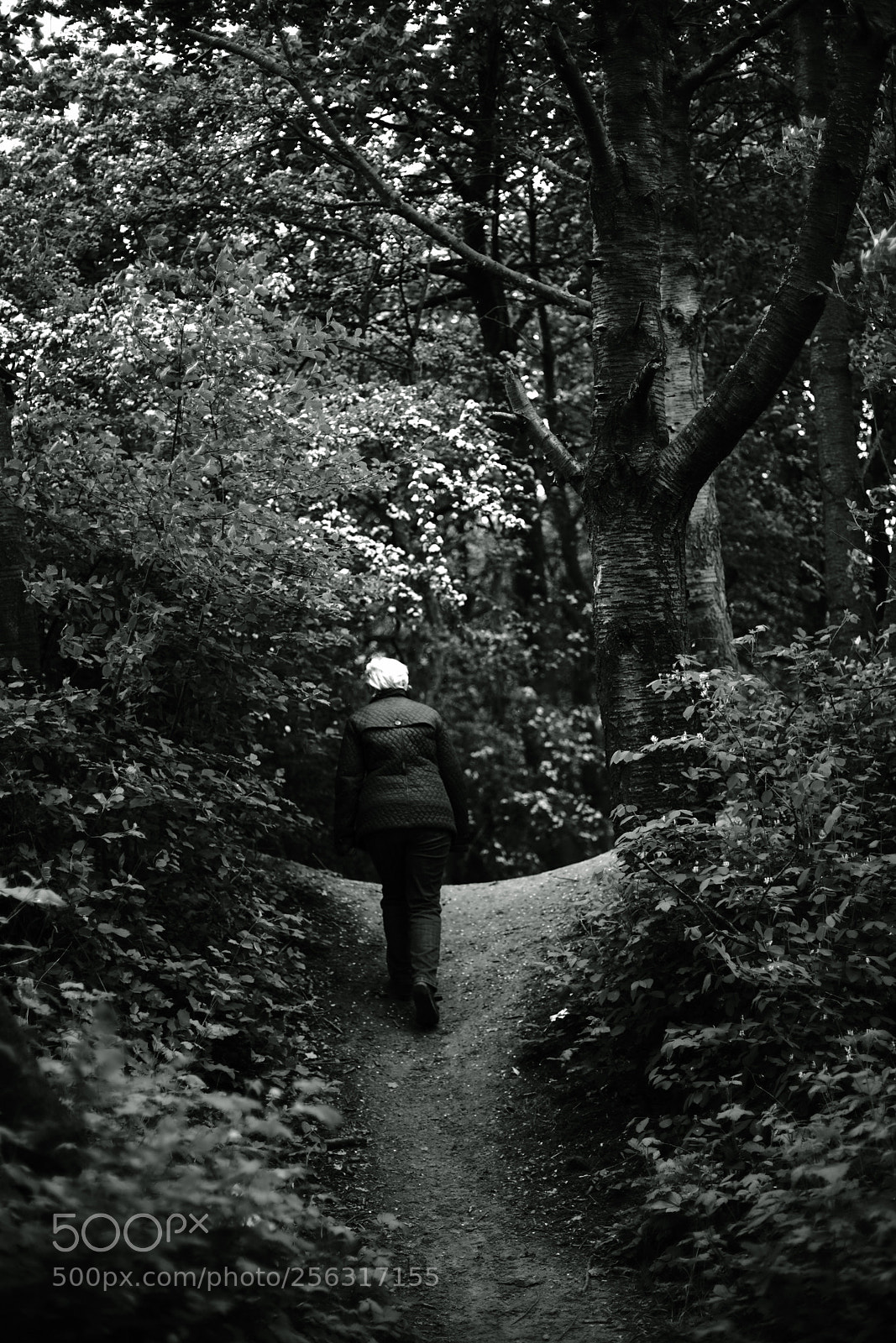 Sony a7R II sample photo. Walking path 10 photography