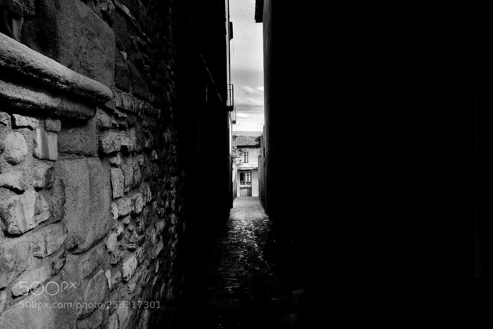 Fujifilm X-T1 sample photo. Untitled photography