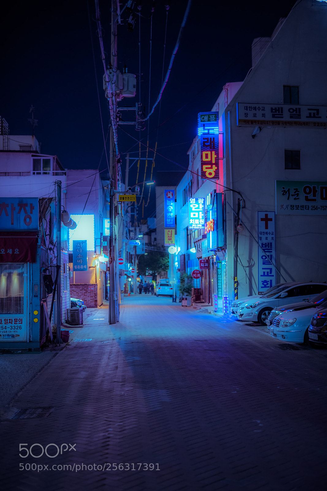 Nikon D850 sample photo. Back photography