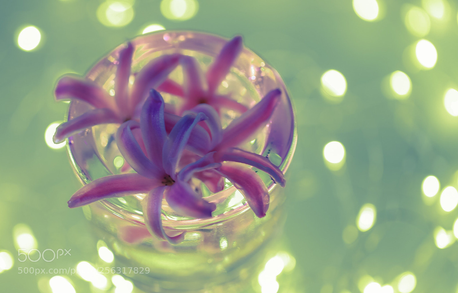Canon EOS 6D sample photo. ~***~ photography