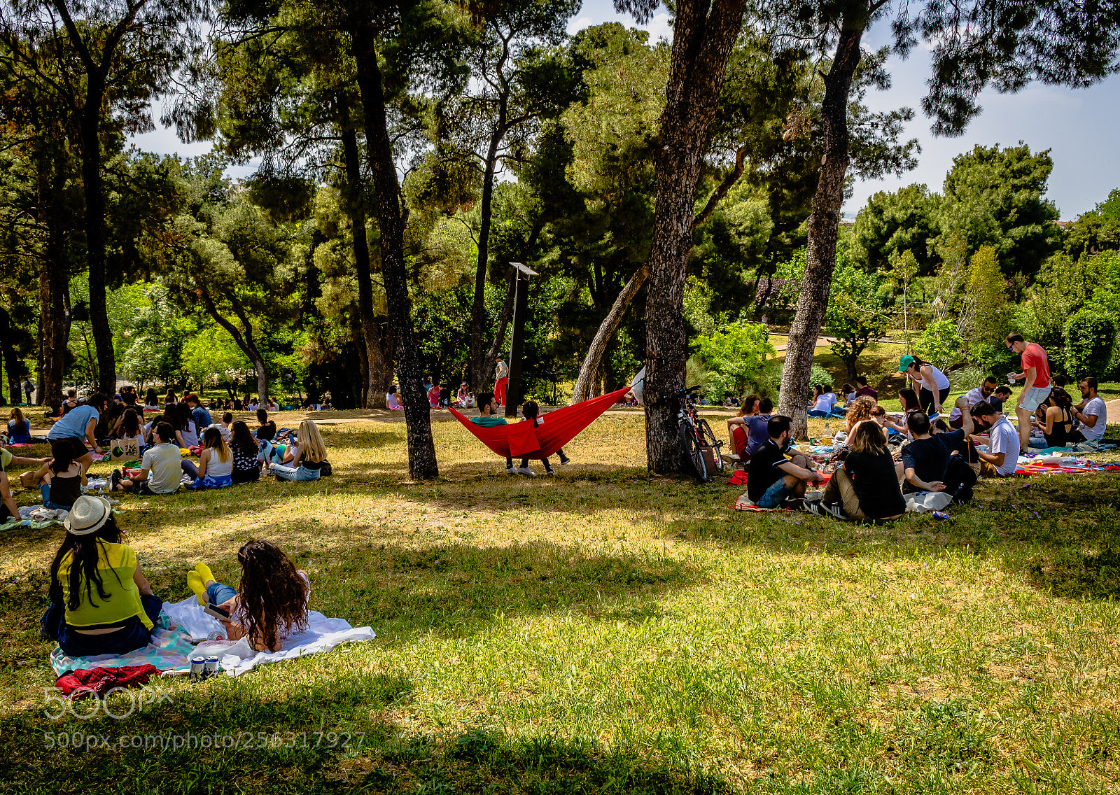 Canon EOS 750D (EOS Rebel T6i / EOS Kiss X8i) sample photo. Picnic at the park 2 photography