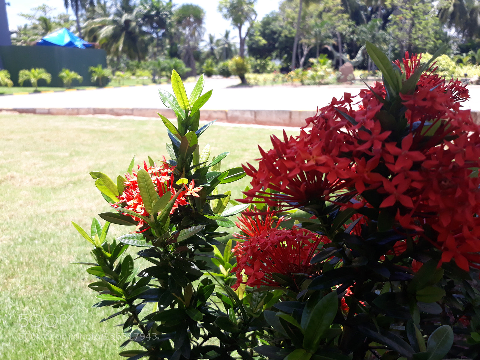 Samsung Galaxy J7 sample photo. 20180408_120136.jpg photography