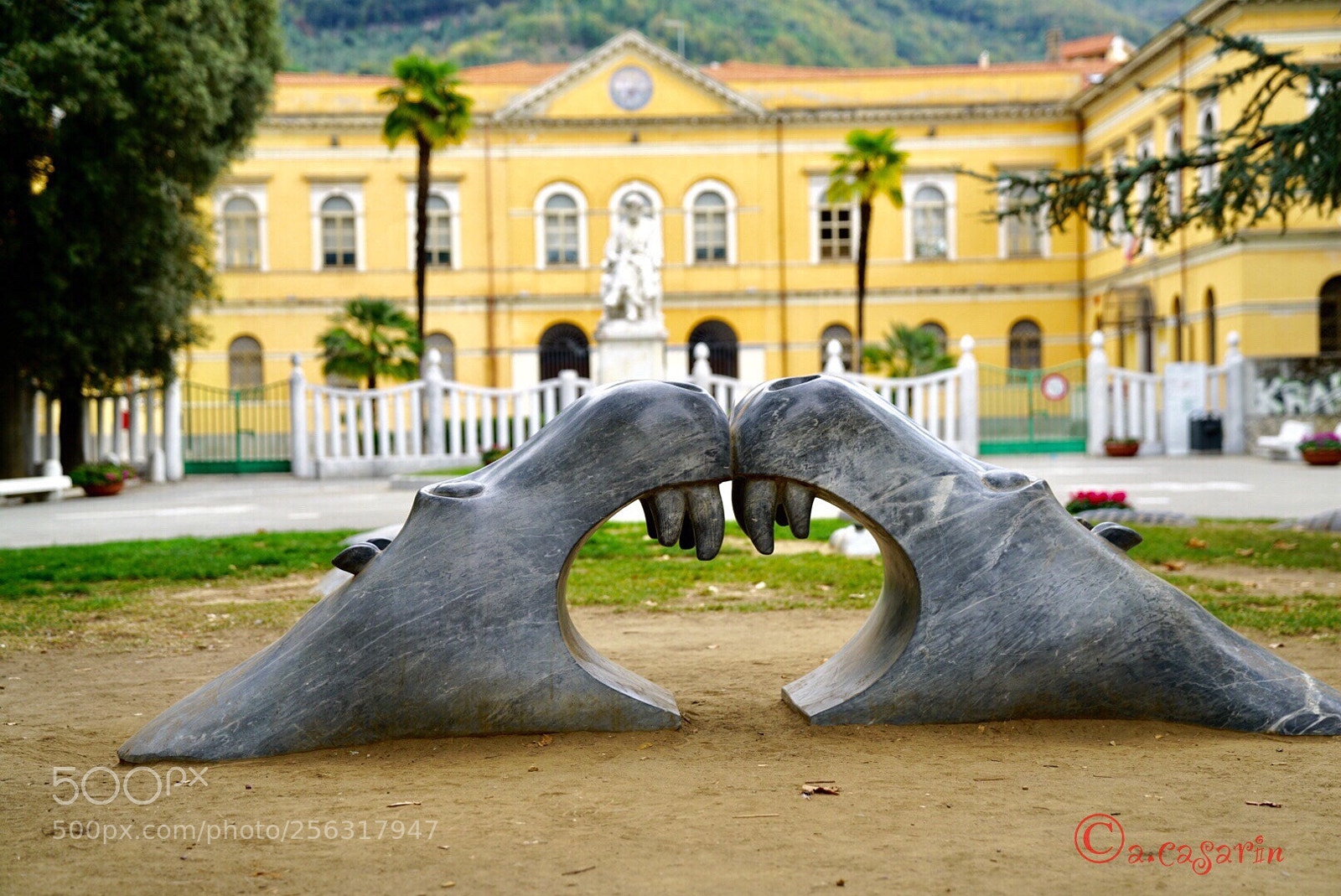 Sony a7R II sample photo. Angry hippos photography