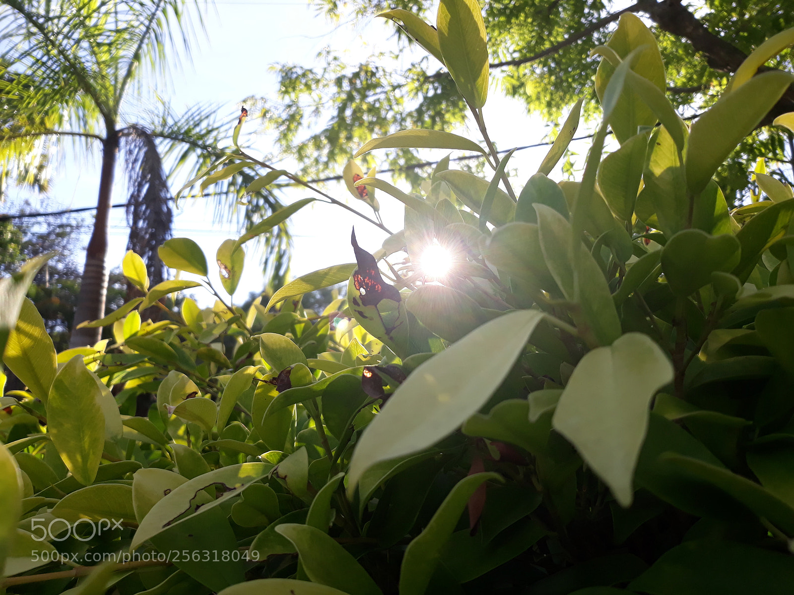 Samsung Galaxy J7 sample photo. 20180408_170233.jpg photography
