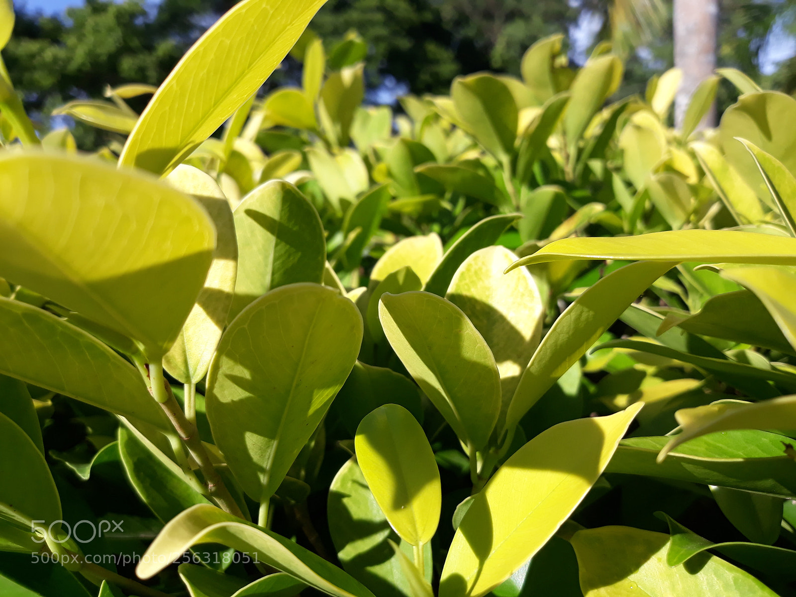 Samsung Galaxy J7 sample photo. 20180408_163712_001.jpg photography