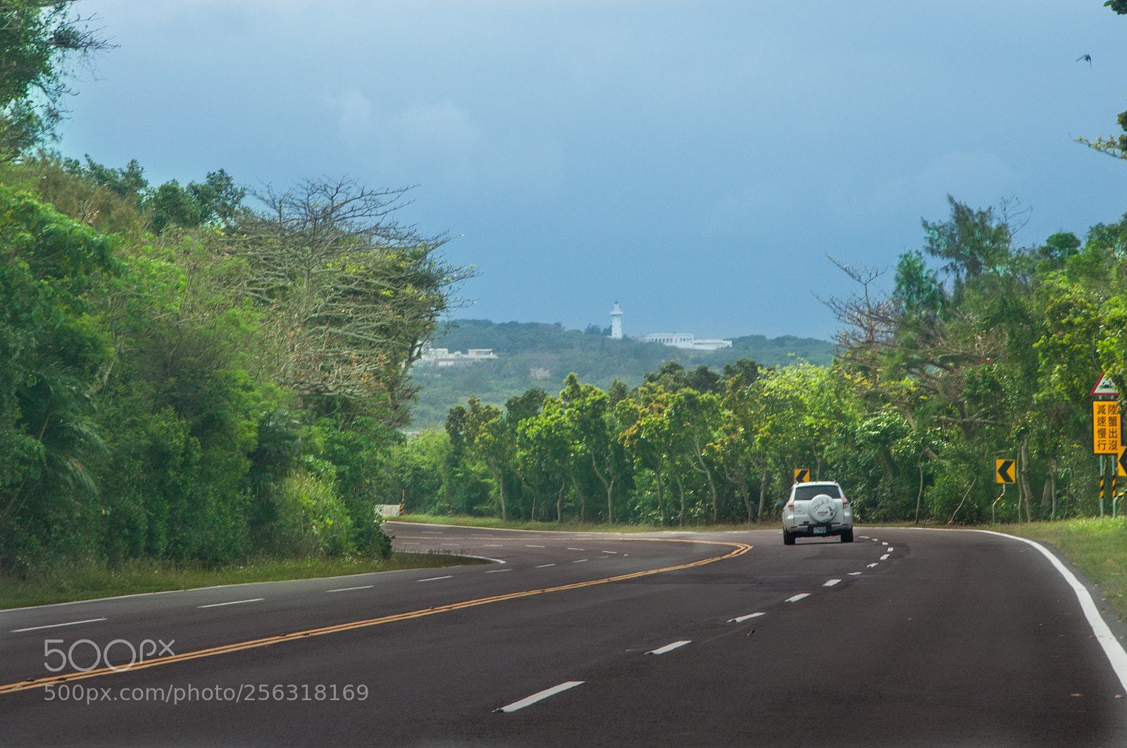 Nikon D90 sample photo. On the way photography