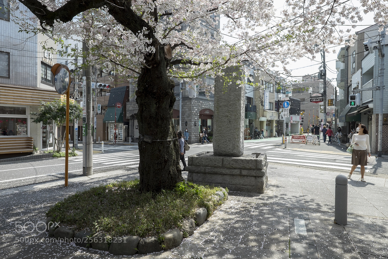 Fujifilm X-T1 sample photo. Tokyo.世田谷区奥沢　九品仏駅前 photography