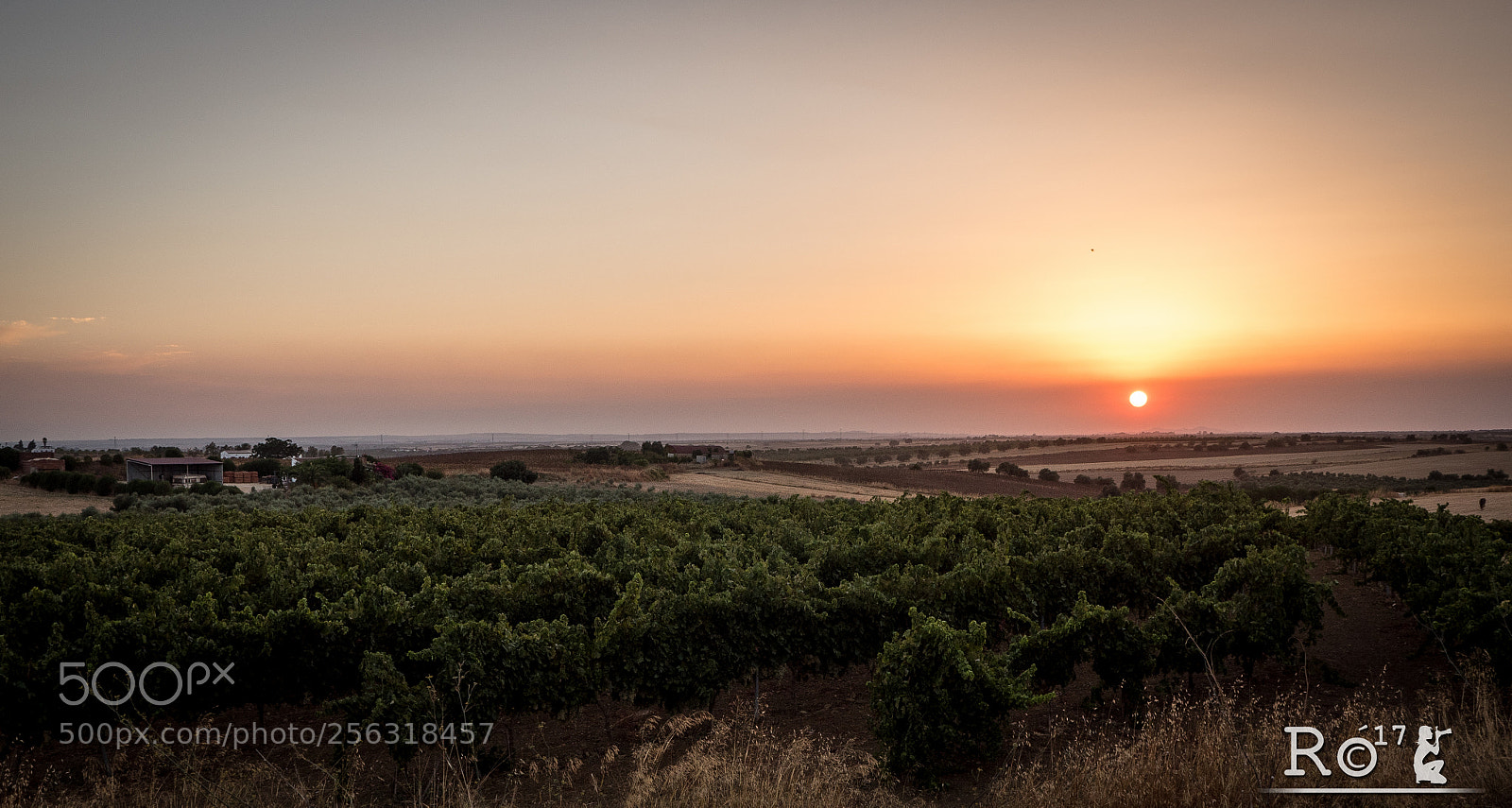 Panasonic Lumix DMC-GH4 sample photo. Vi as vino del photography