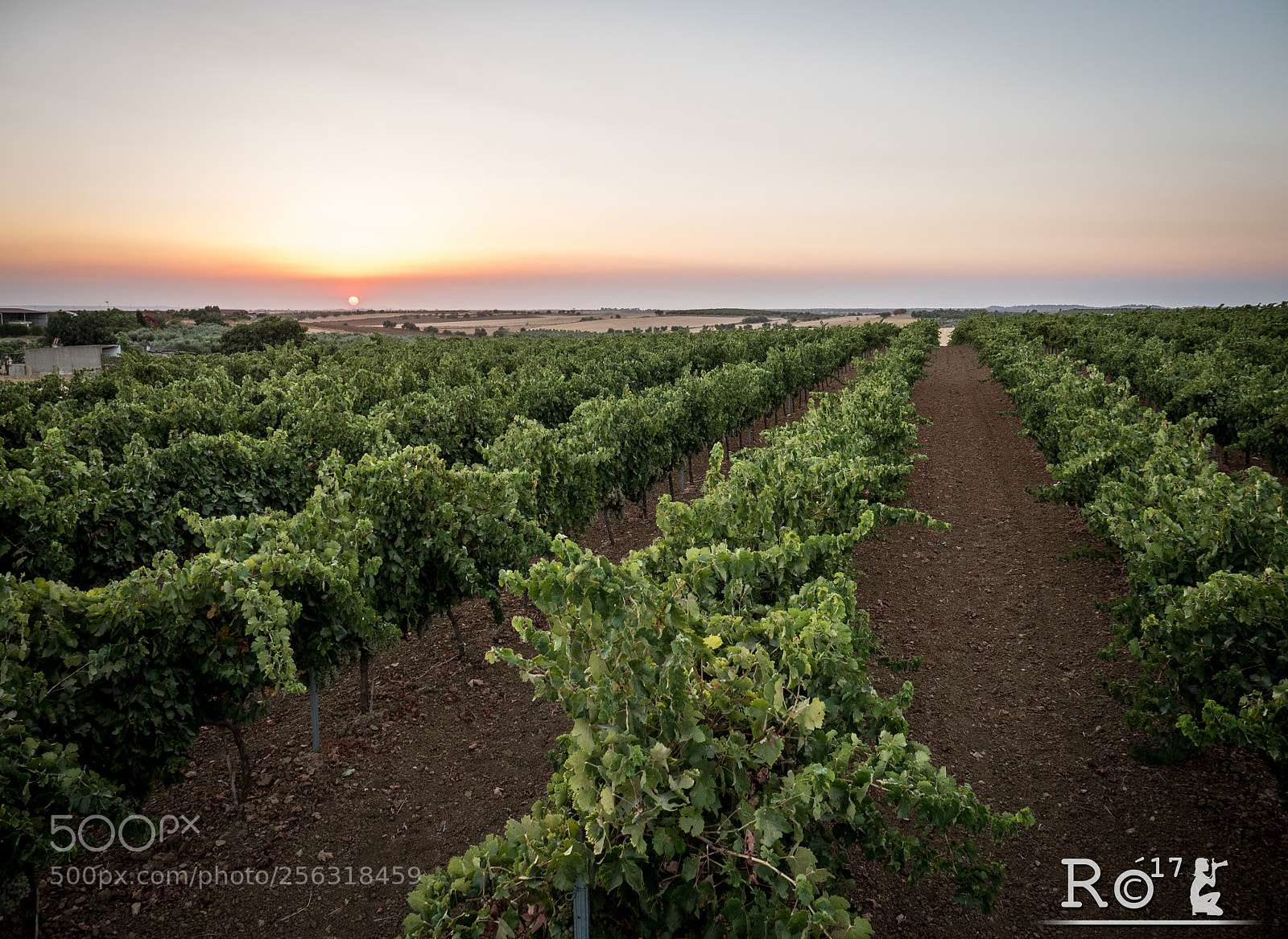 Panasonic Lumix DMC-GH4 sample photo. Vi as vino del photography