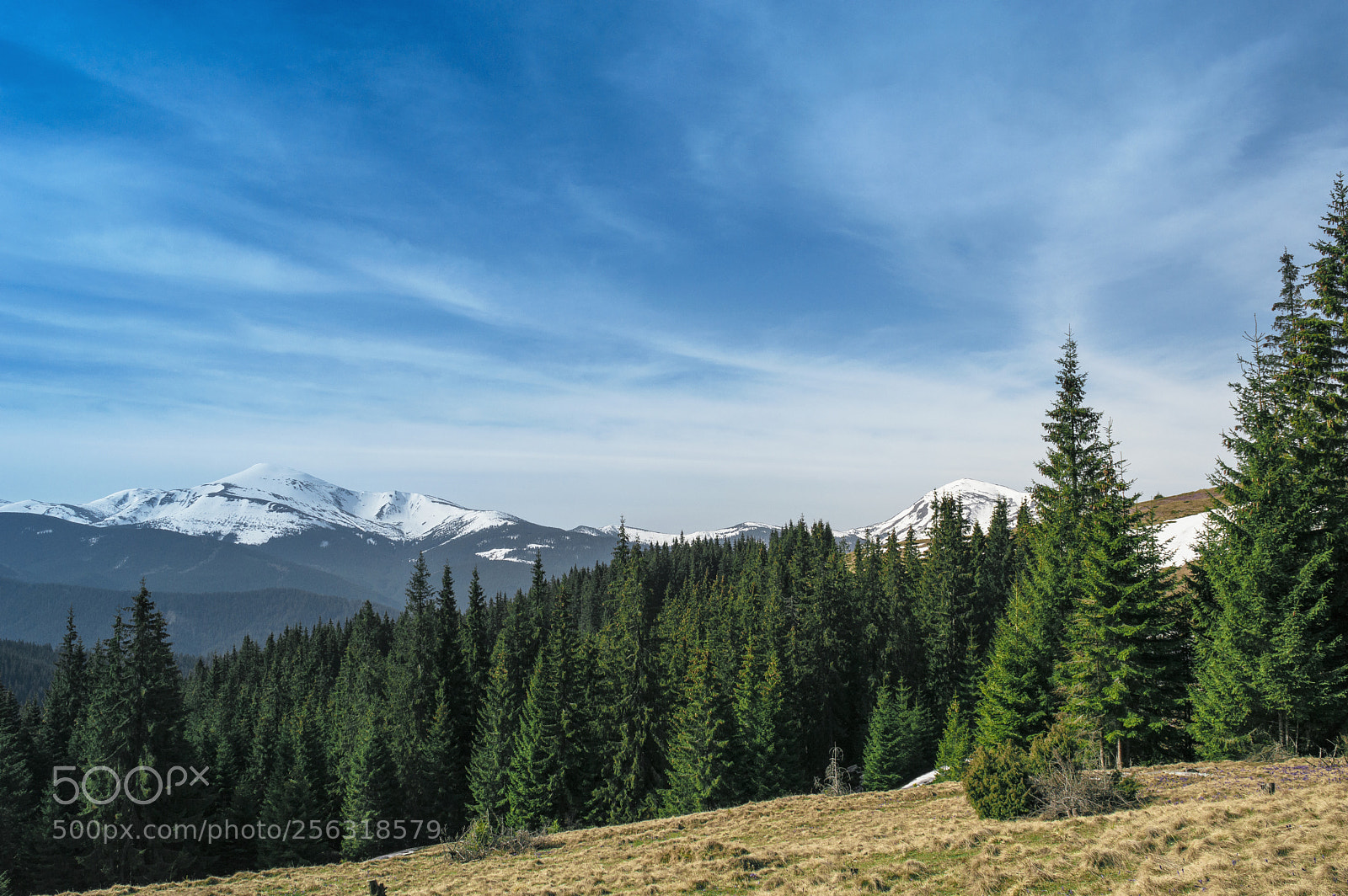 Nikon D3200 sample photo. Carpatian mountain travel photography