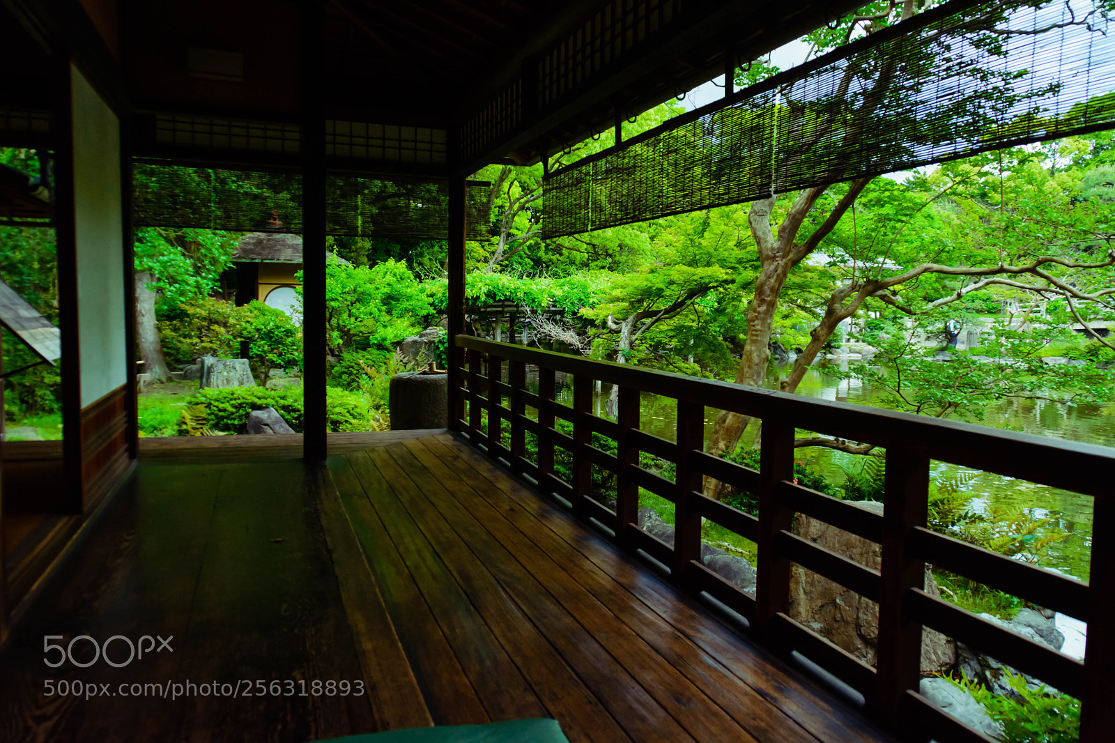 Nikon D5200 sample photo. 新緑の庭 photography