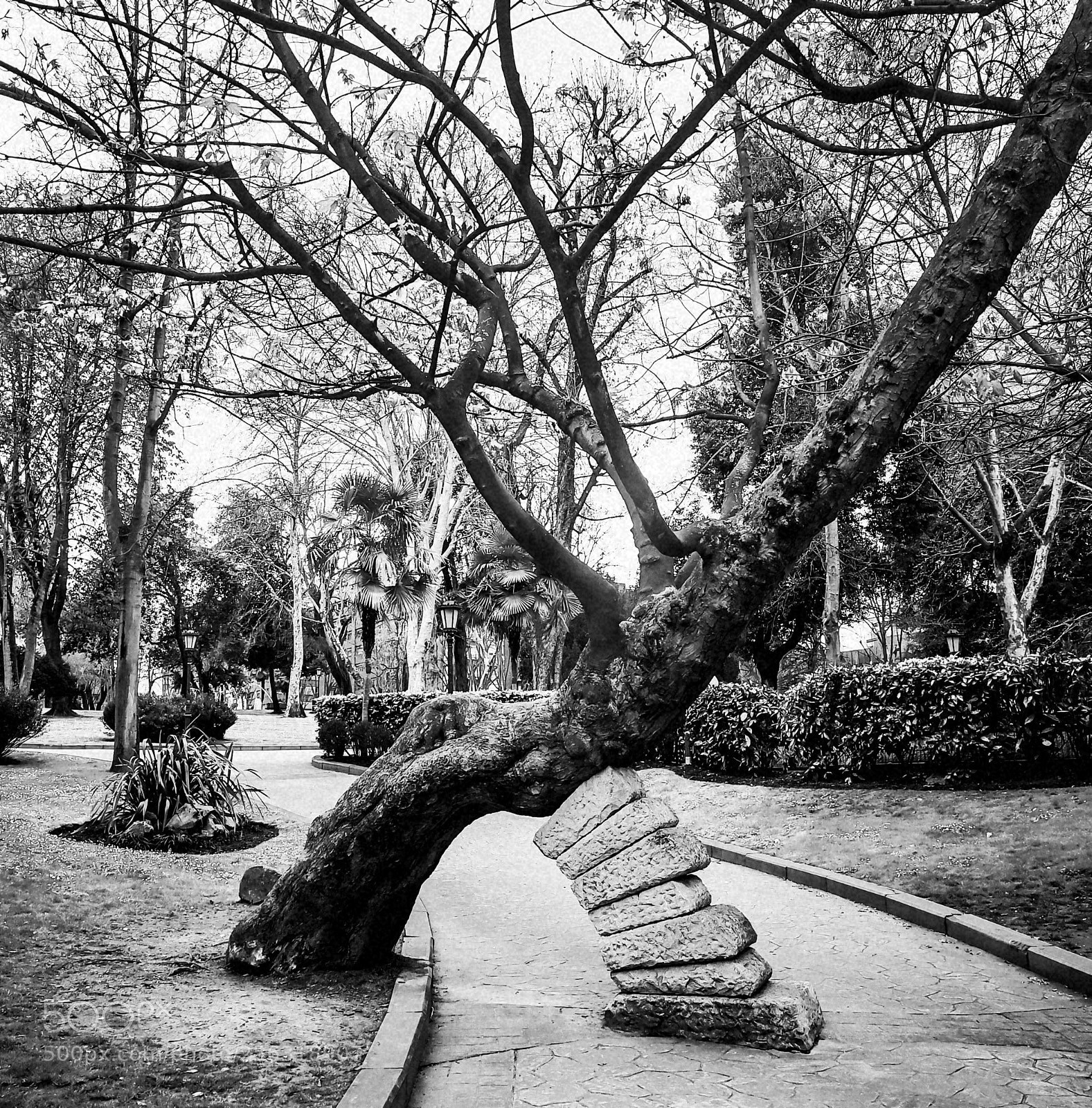 HUAWEI Mate 9 sample photo. Untitled photography