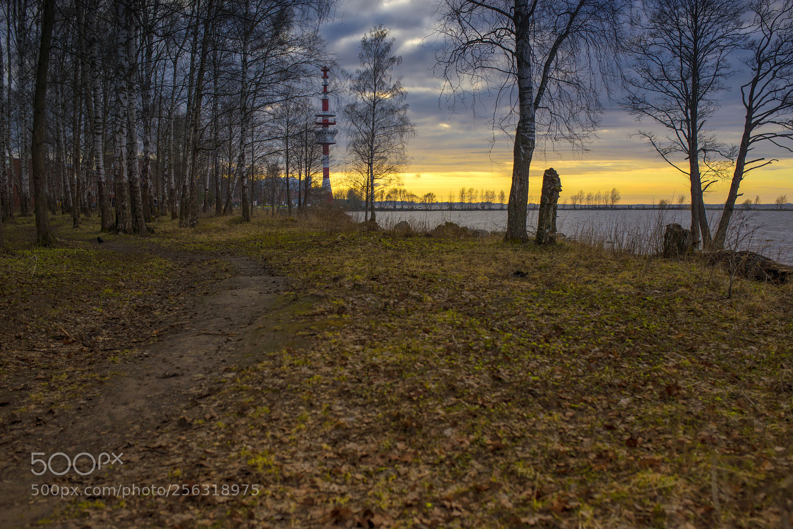 Nikon D600 sample photo. Spring finnish gulf photography